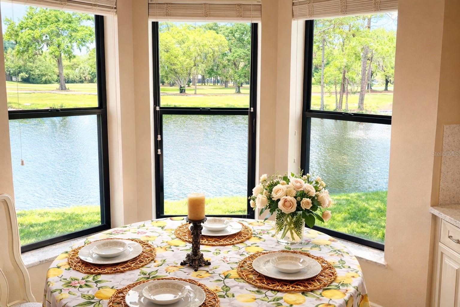 3637 DOWNFIELD PL #402, NEW PORT RICHEY, FL — photo 4