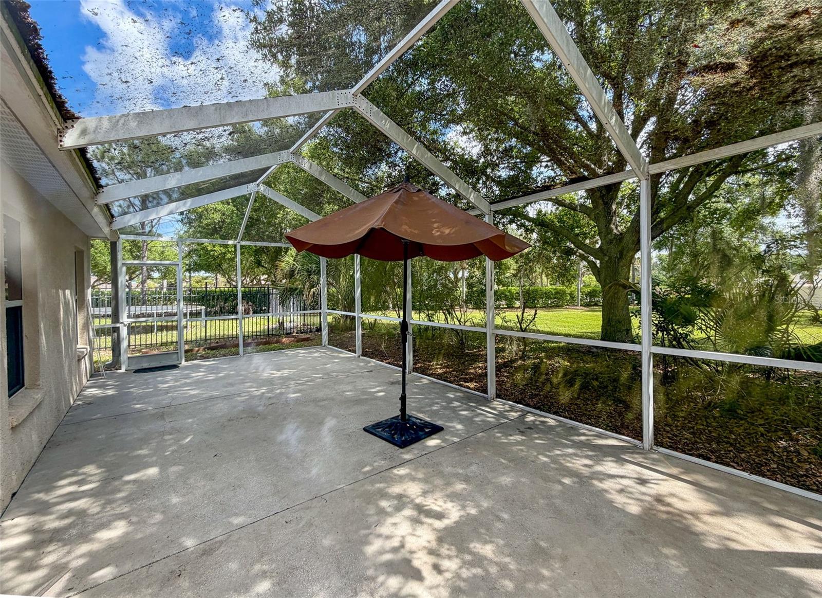 4316 OLD WAVERLY CT, WESLEY CHAPEL, FL — photo 34