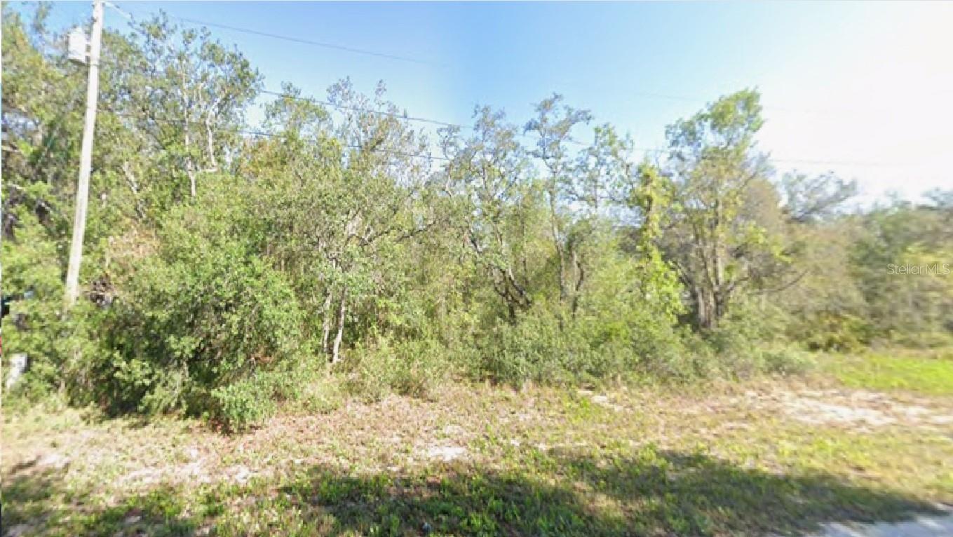 2180 W BONITA RD, AVON PARK, FL