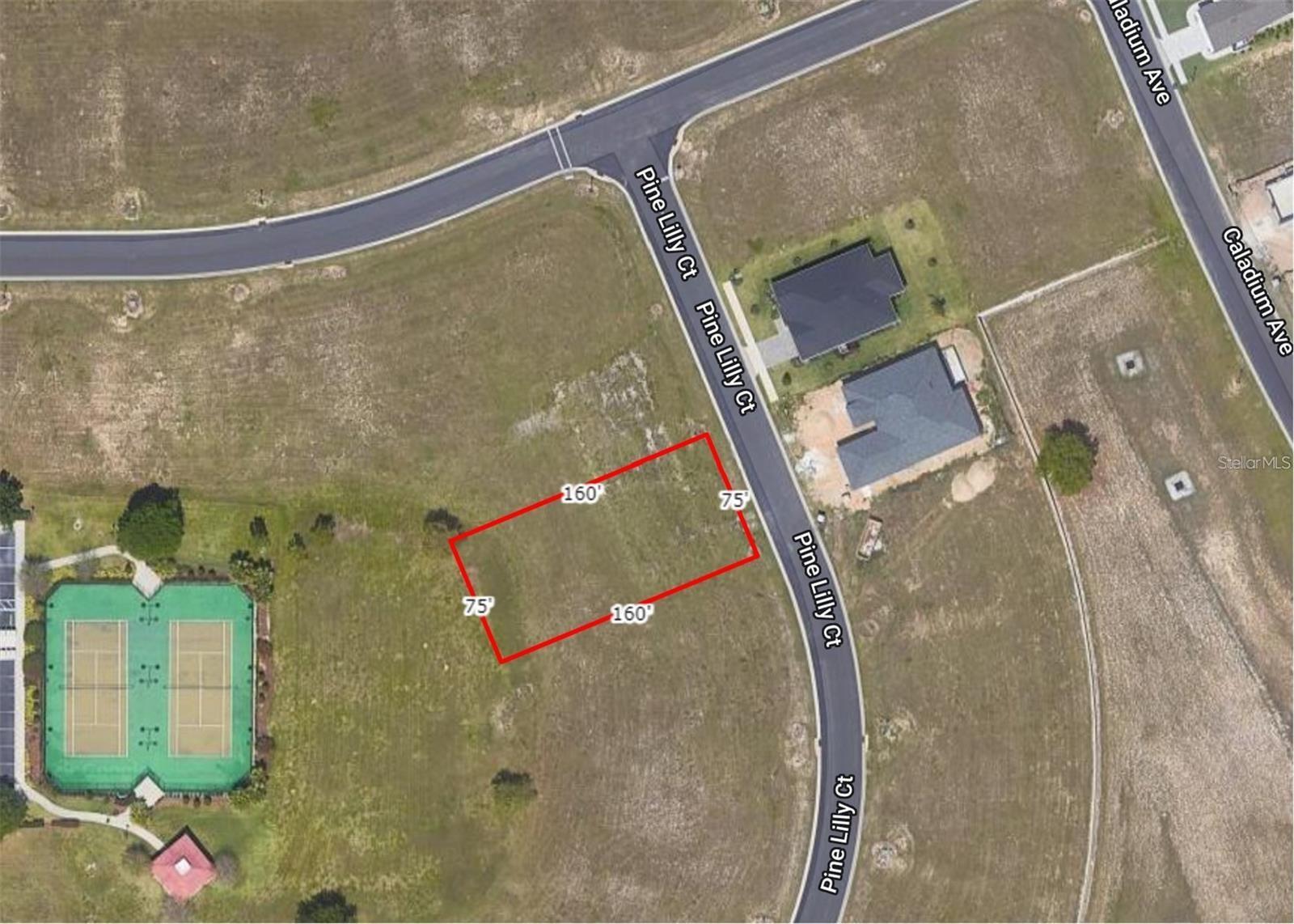 253 PINE LILLY CT, LAKE ALFRED, FL