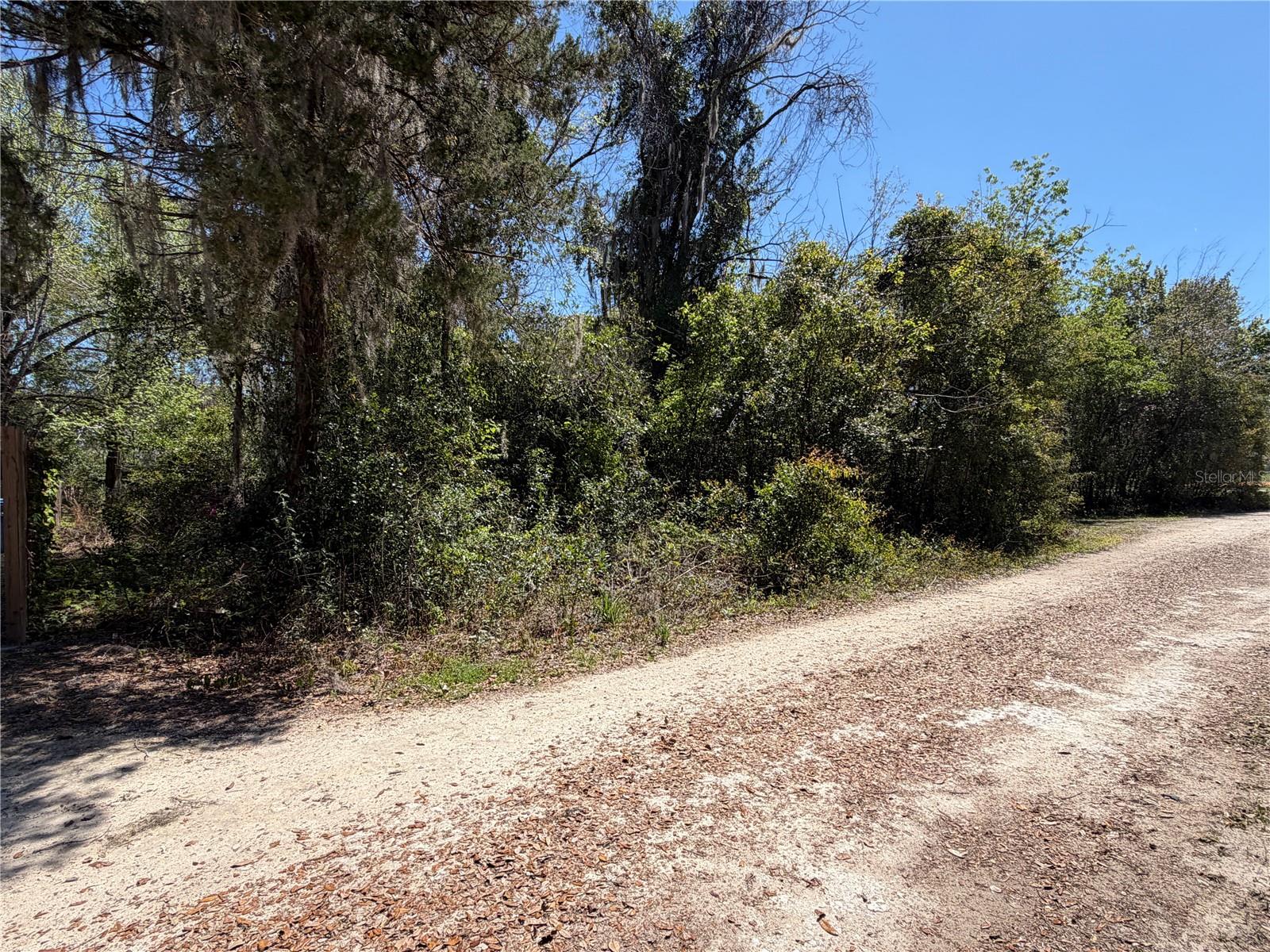 300blk NW 245TH TER, NEWBERRY, FL — photo 2