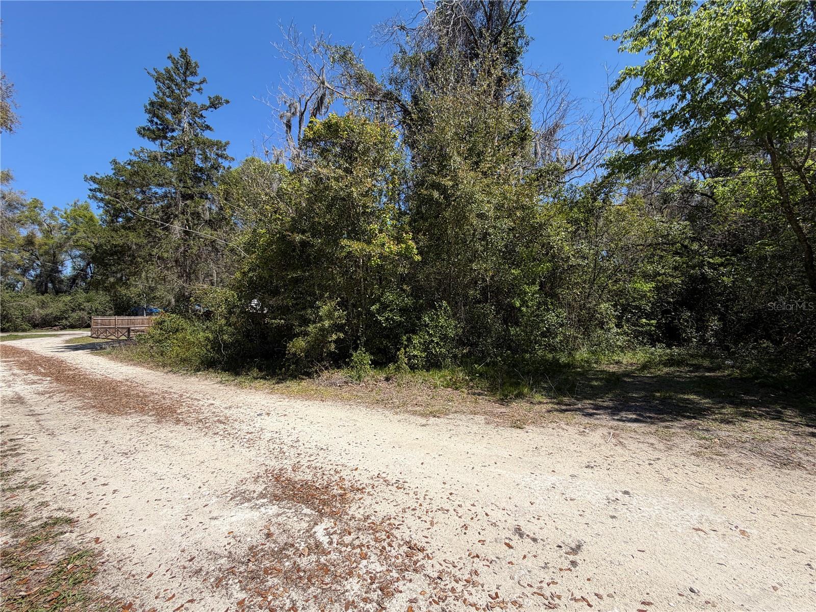 300blk NW 245TH TER, NEWBERRY, FL — photo 5
