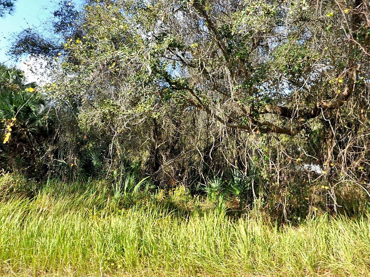 KACHER RD, NORTH PORT, FL