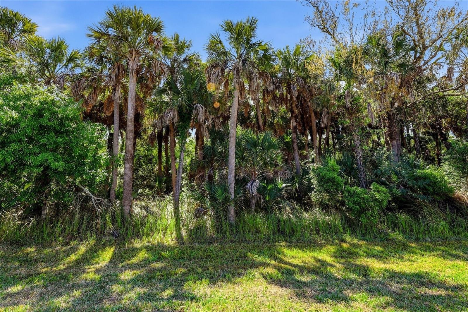 12031 LOVEGRASS ST, VENICE, FL — photo 42