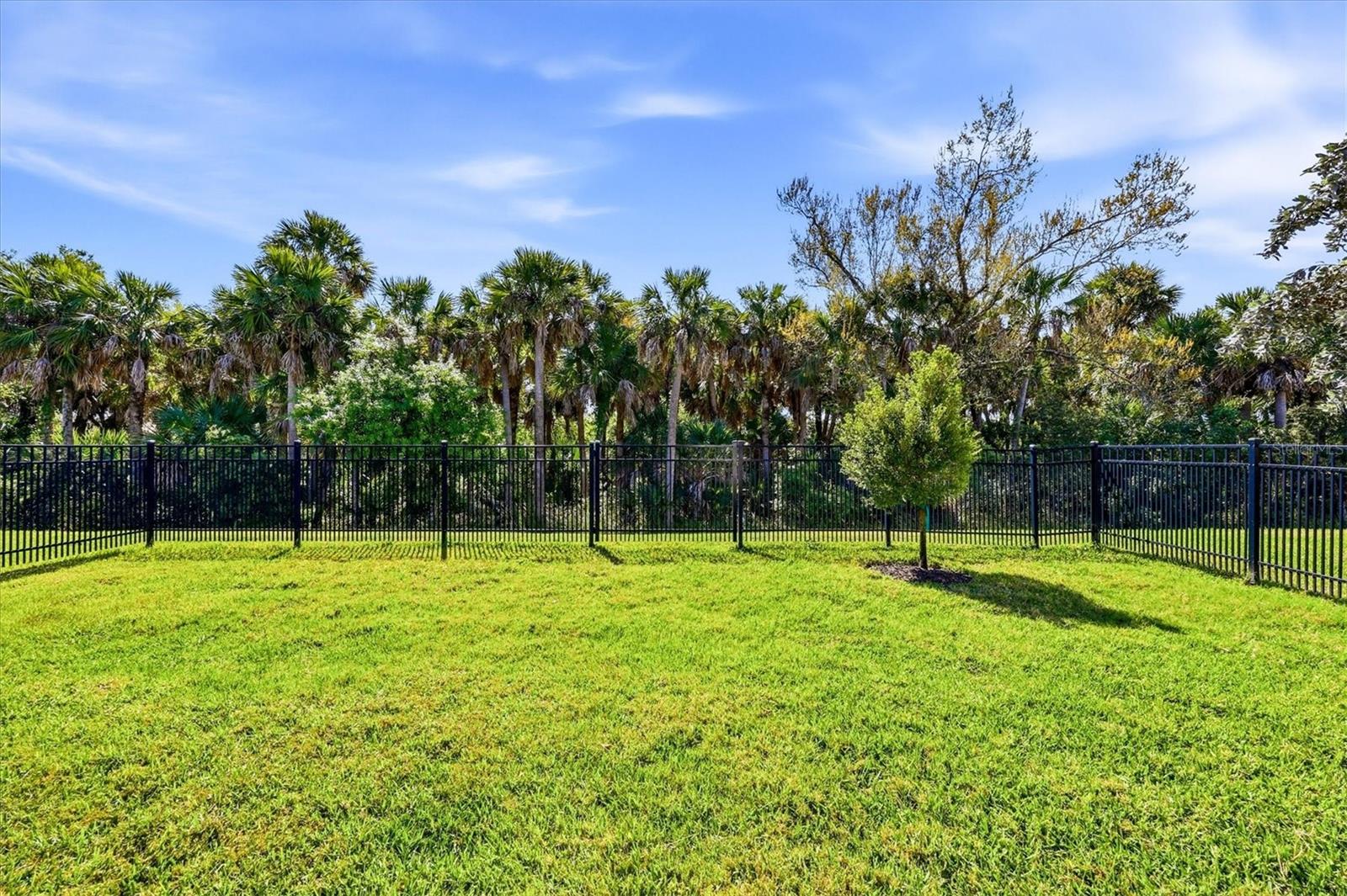 12031 LOVEGRASS ST, VENICE, FL — photo 43