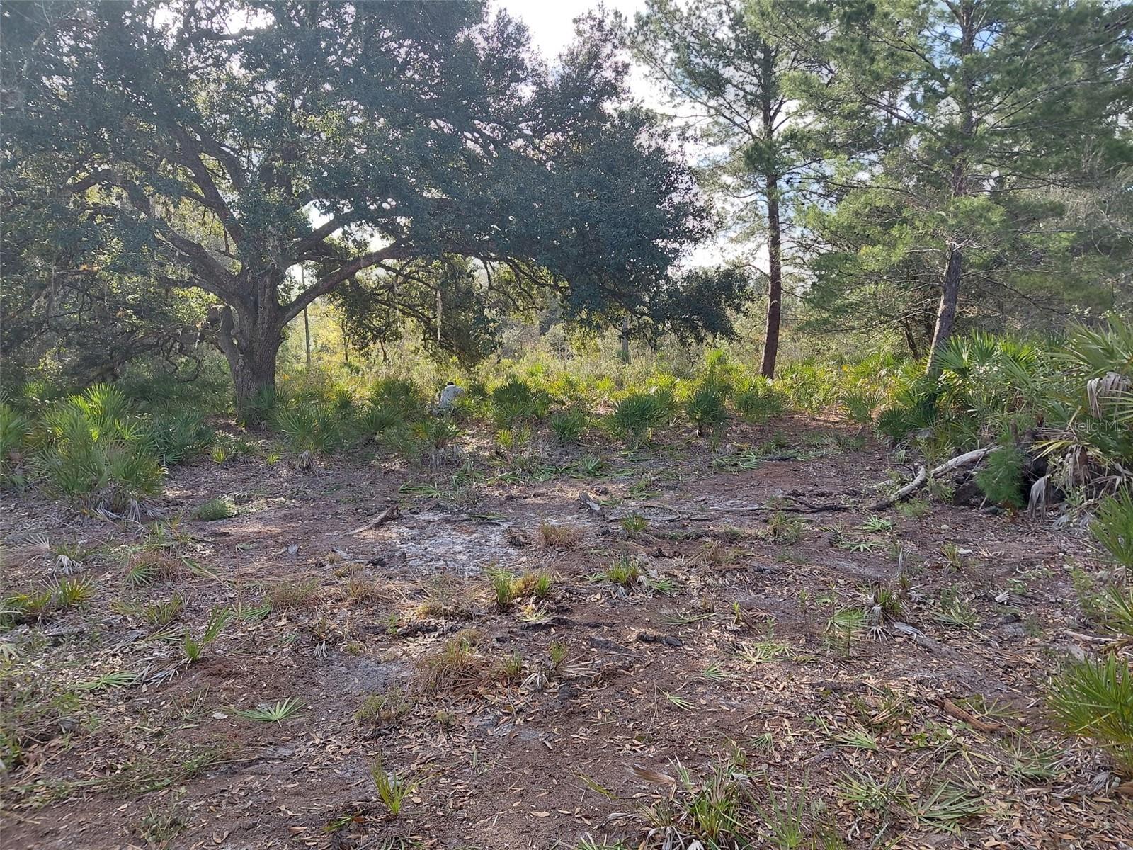4311 GARDENIA DR, INDIAN LAKE ESTATES, FL — photo 6