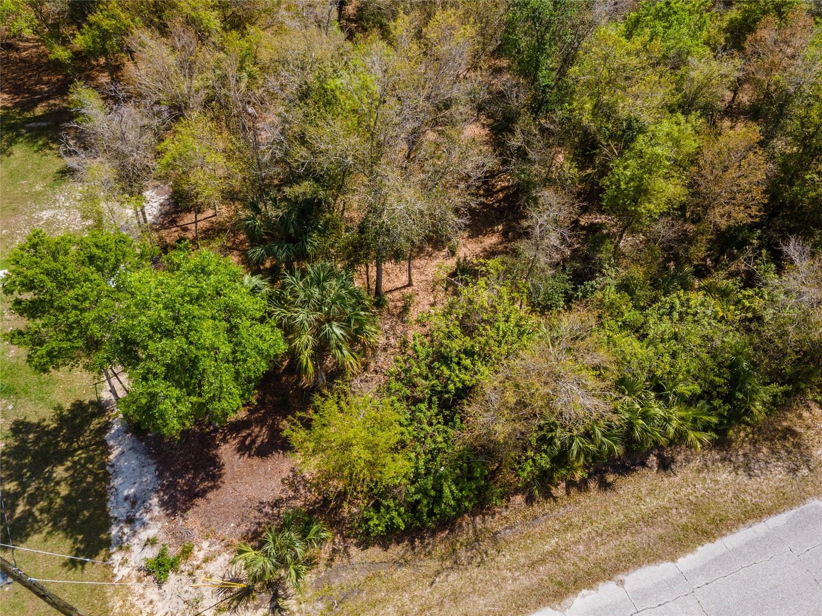 7084 LIPPMAN RD, PORT CHARLOTTE, FL — photo 15