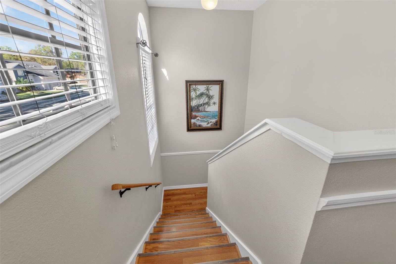 5215 CORVETTE DR, TAMPA, FL — photo 16