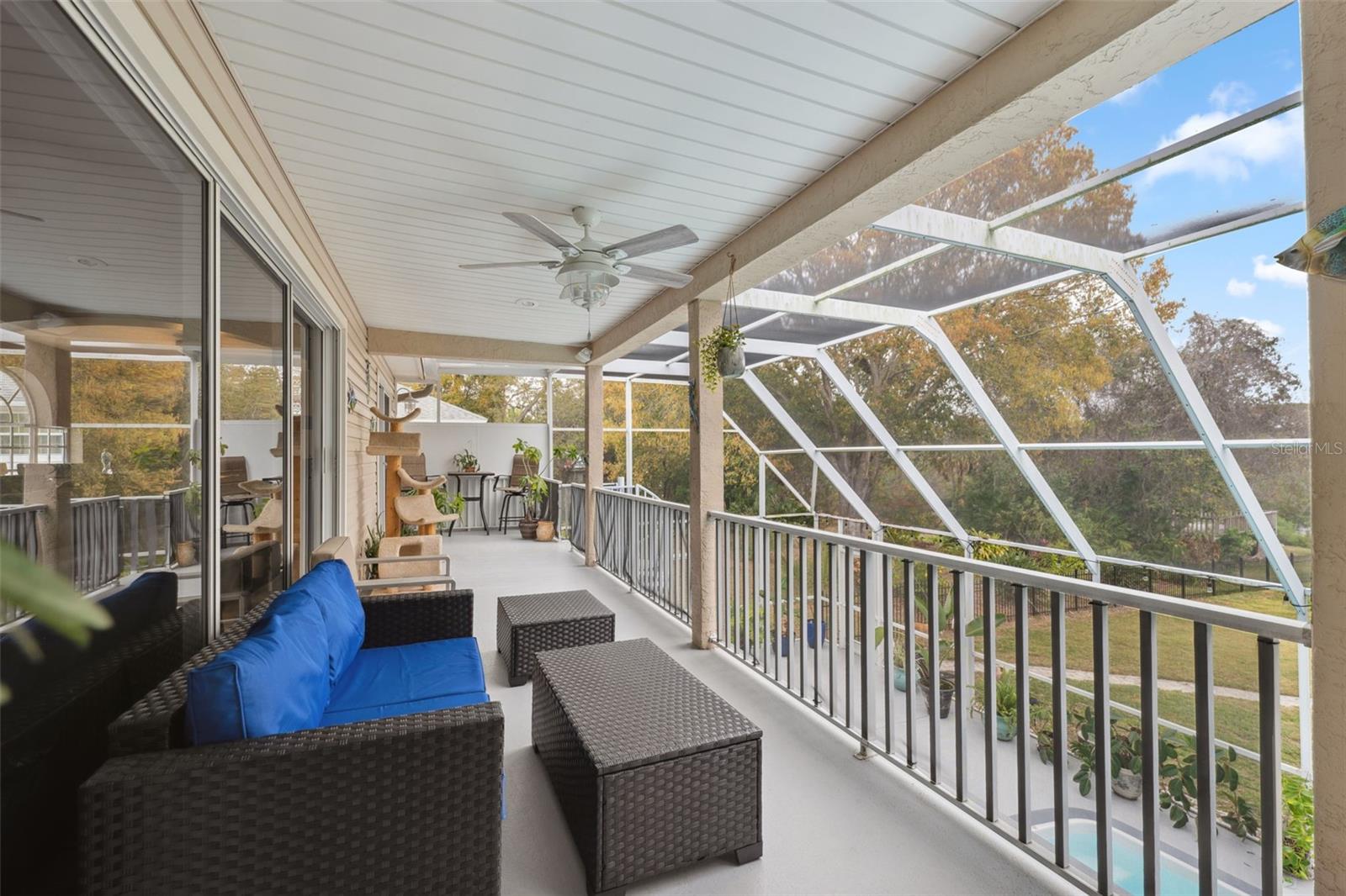 3114 BLUFF BLVD, HOLIDAY, FL — photo 31