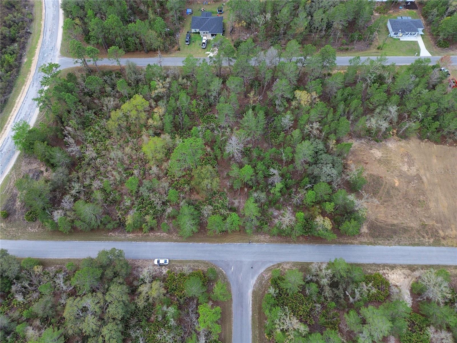 TBD MALAUKA LANE, OCKLAWAHA, FL — photo 2