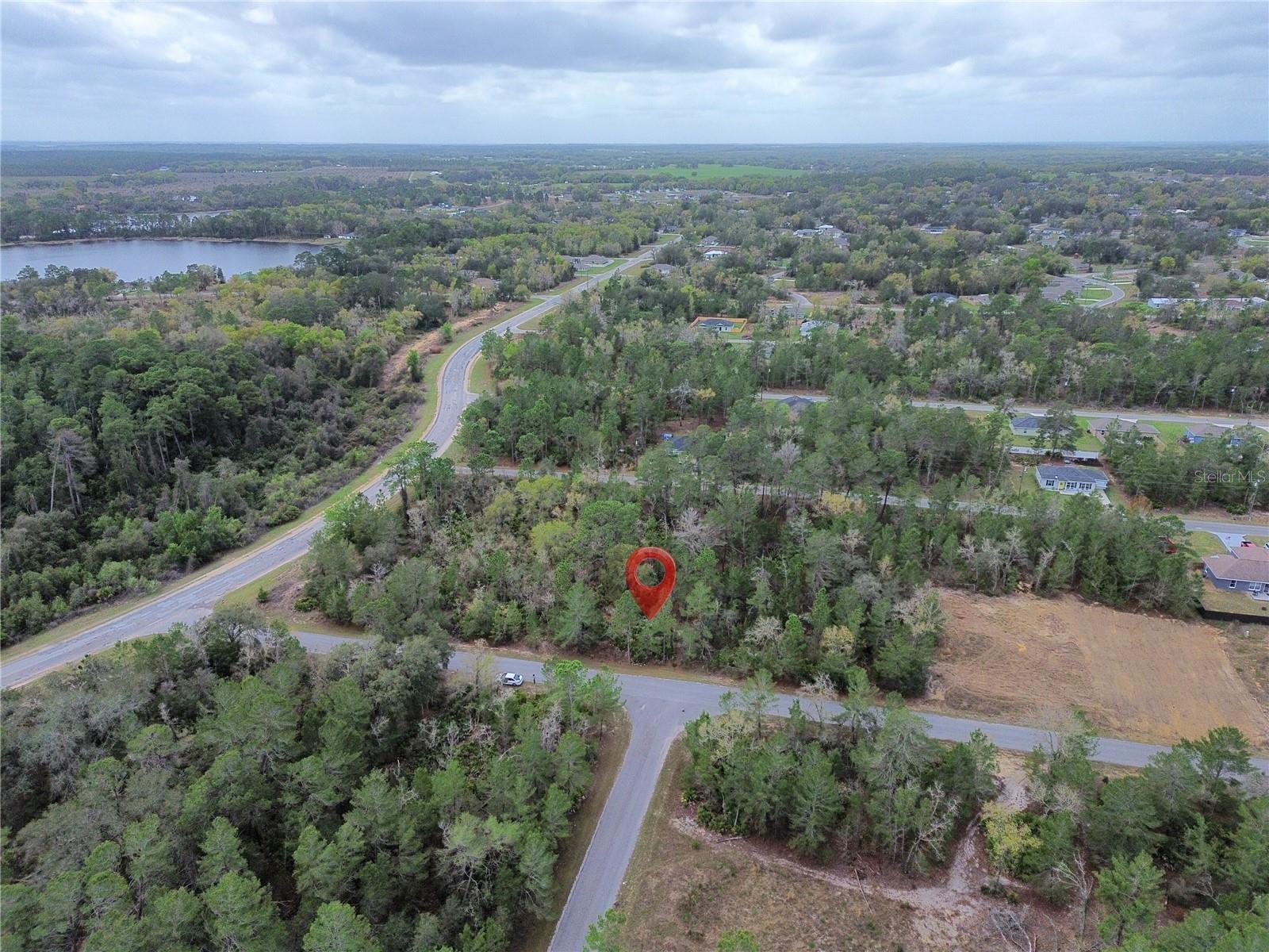 TBD MALAUKA LANE, OCKLAWAHA, FL — photo 3