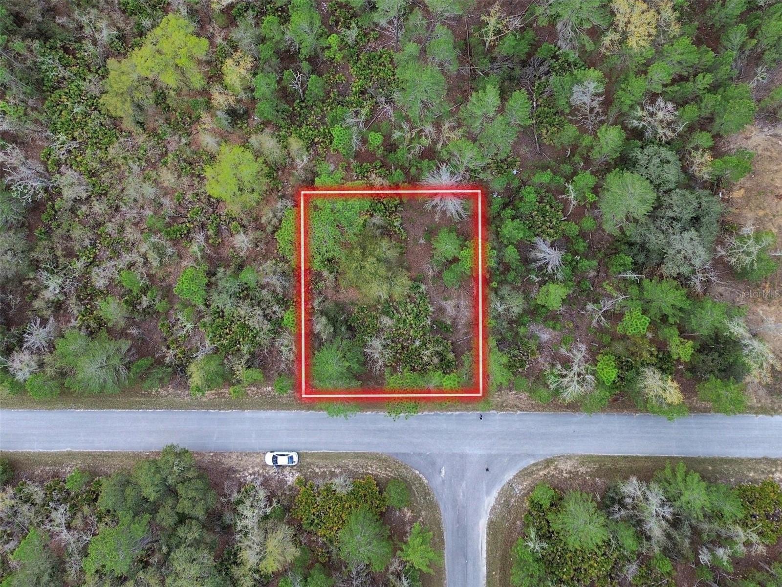 TBD MALAUKA LANE, OCKLAWAHA, FL