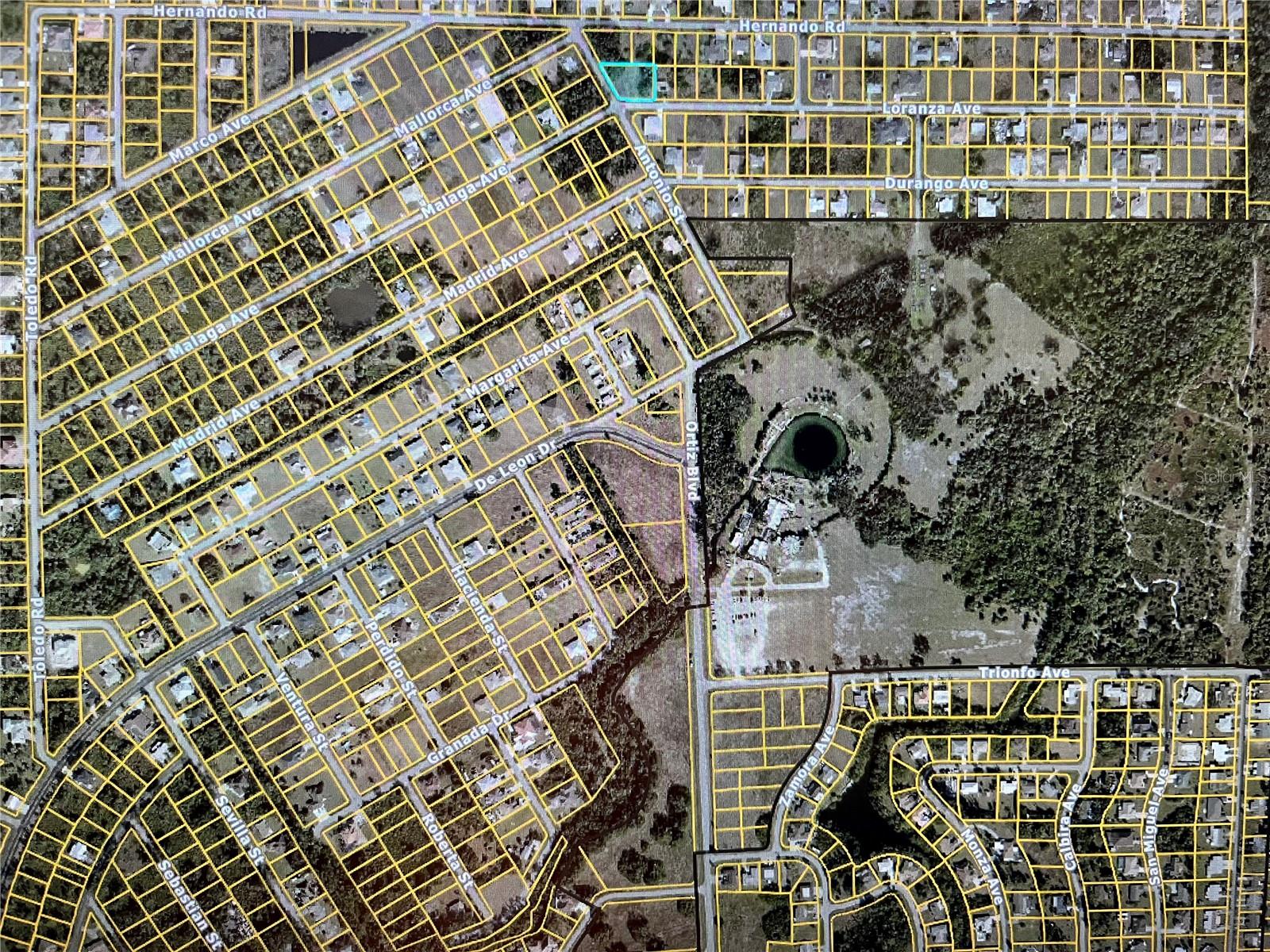 LOT 1,2,3 LORANZA AVE, NORTH PORT, FL — photo 2