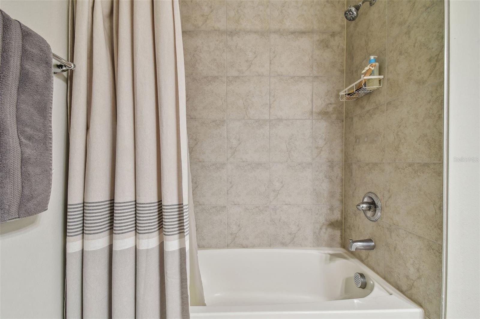 18053 TURNING LEAF CIR, LAND O LAKES, FL — photo 39