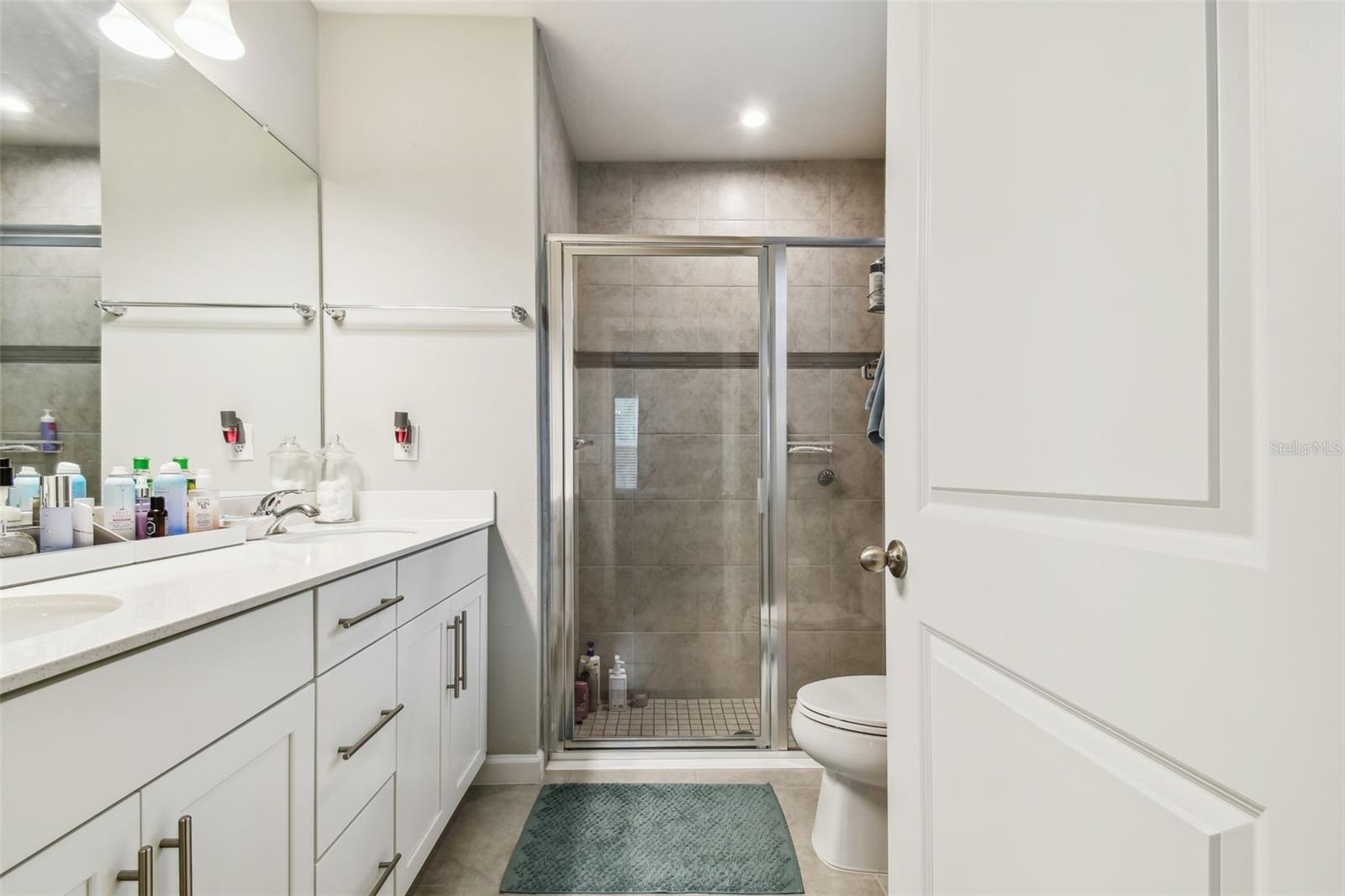 18053 TURNING LEAF CIR, LAND O LAKES, FL — photo 48