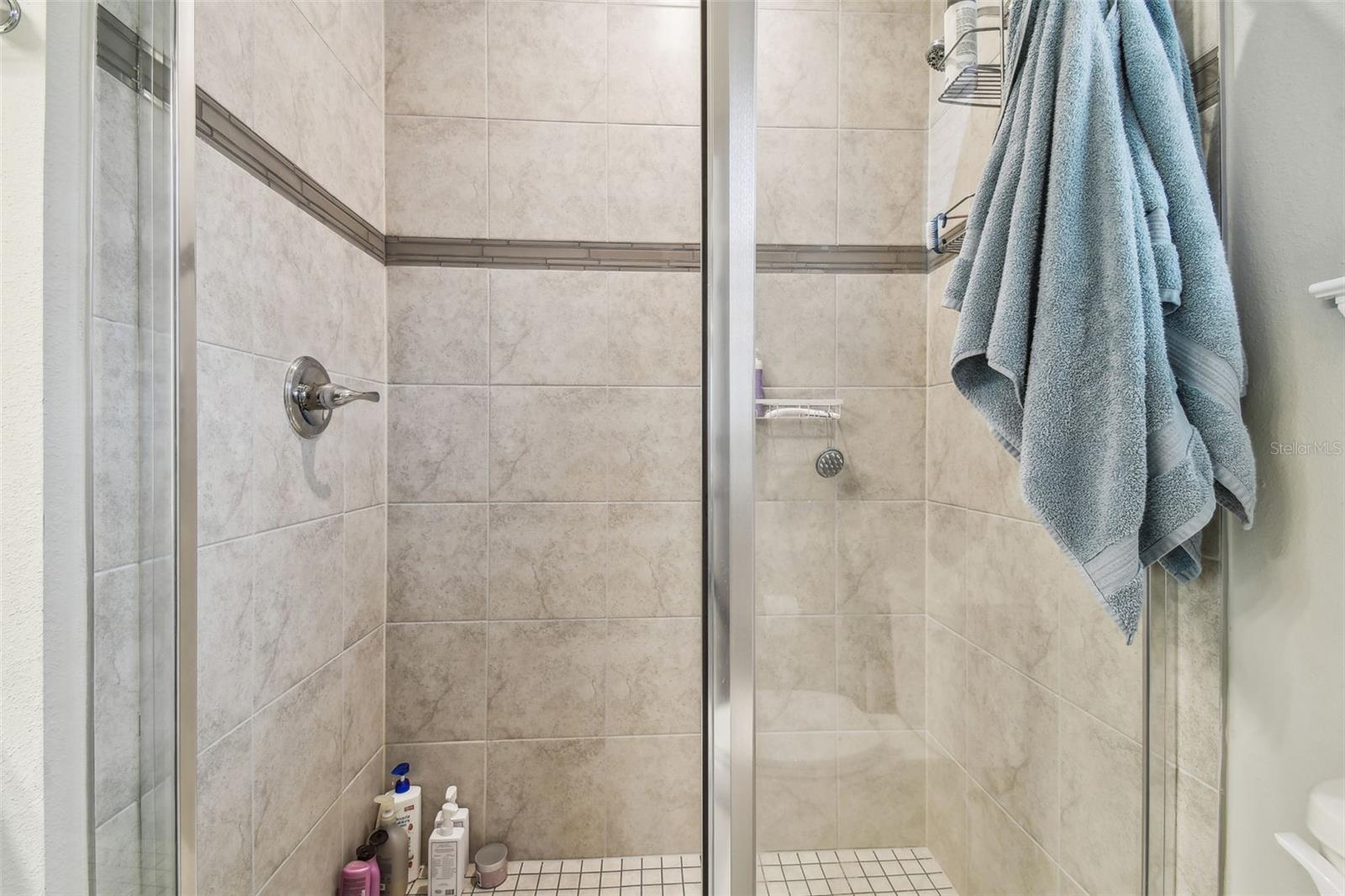 18053 TURNING LEAF CIR, LAND O LAKES, FL — photo 49