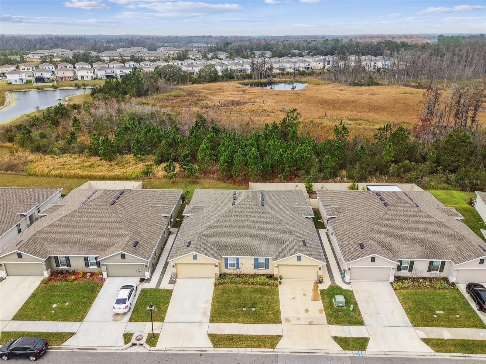 18053 TURNING LEAF CIR, LAND O LAKES, FL — photo 55