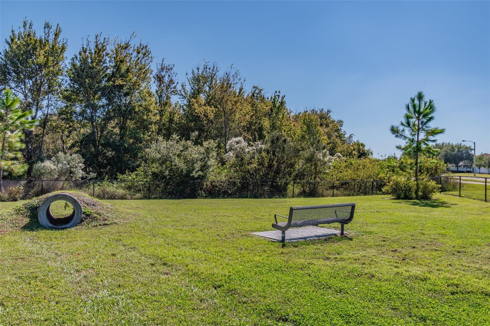 18053 TURNING LEAF CIR, LAND O LAKES, FL — photo 73