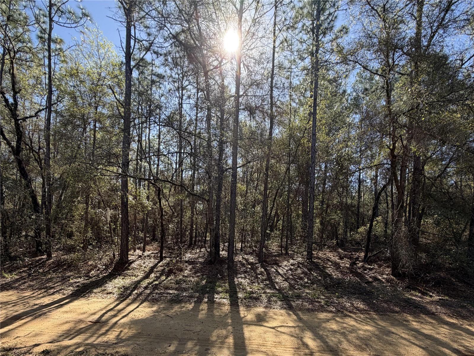 SE 7TH AVE, INTERLACHEN, FL