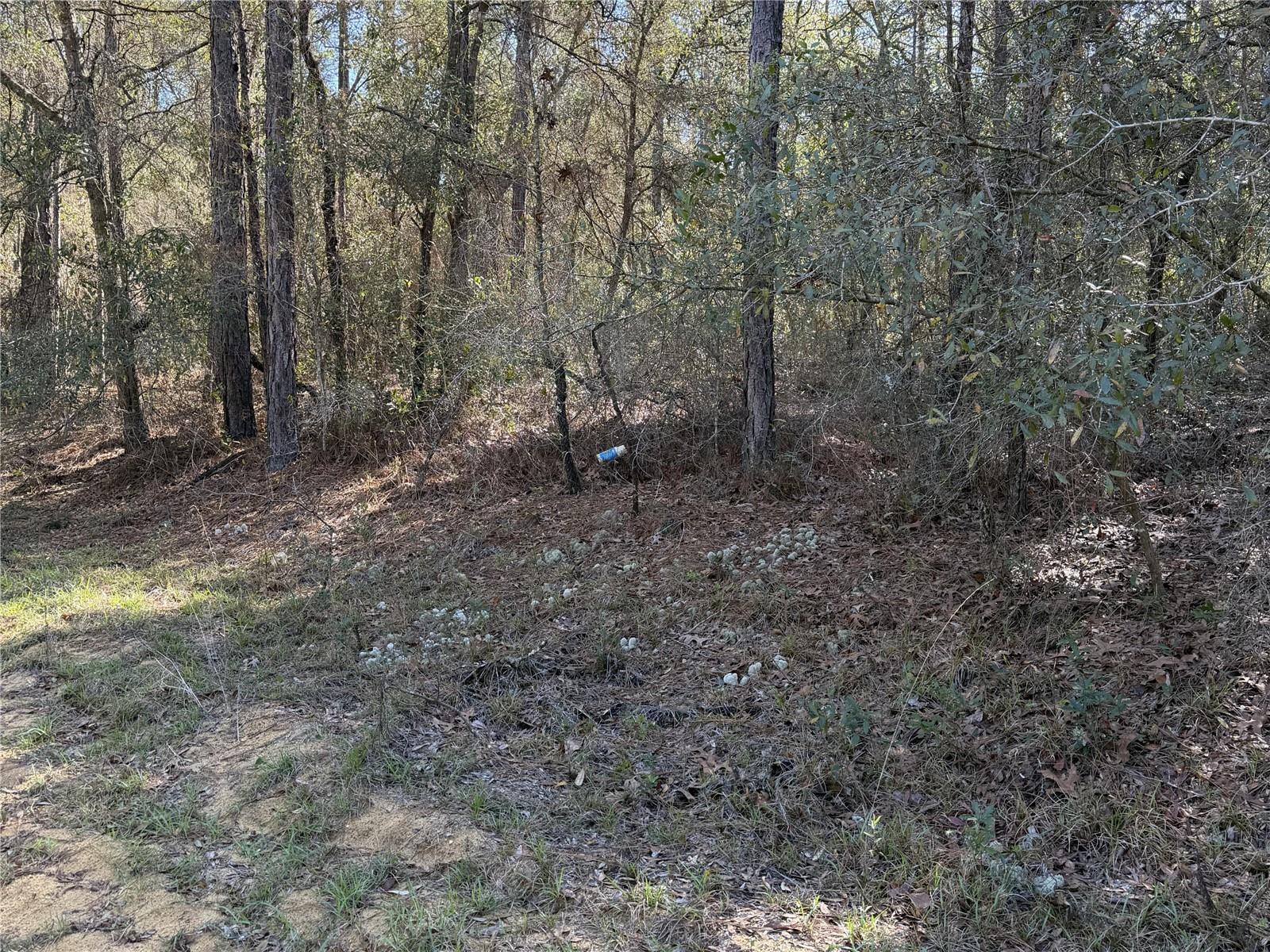 SE 7TH AVE, INTERLACHEN, FL — photo 2
