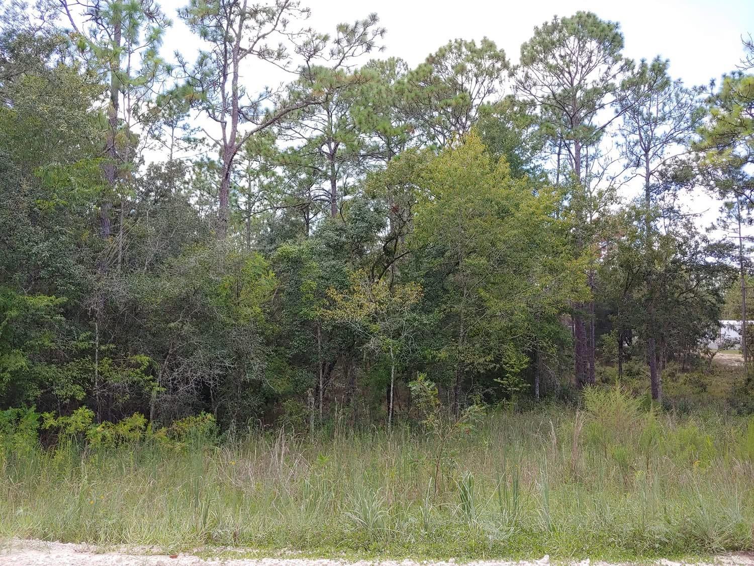 TBD SE 150TH AVE, MORRISTON, FL