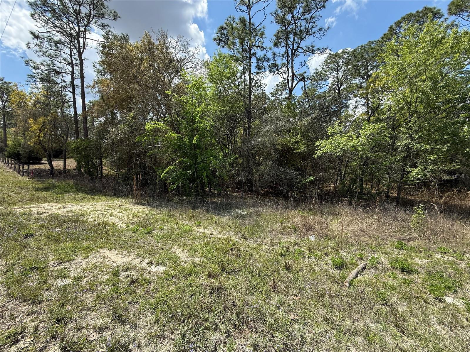 TBD SE 150TH AVE, MORRISTON, FL — photo 2