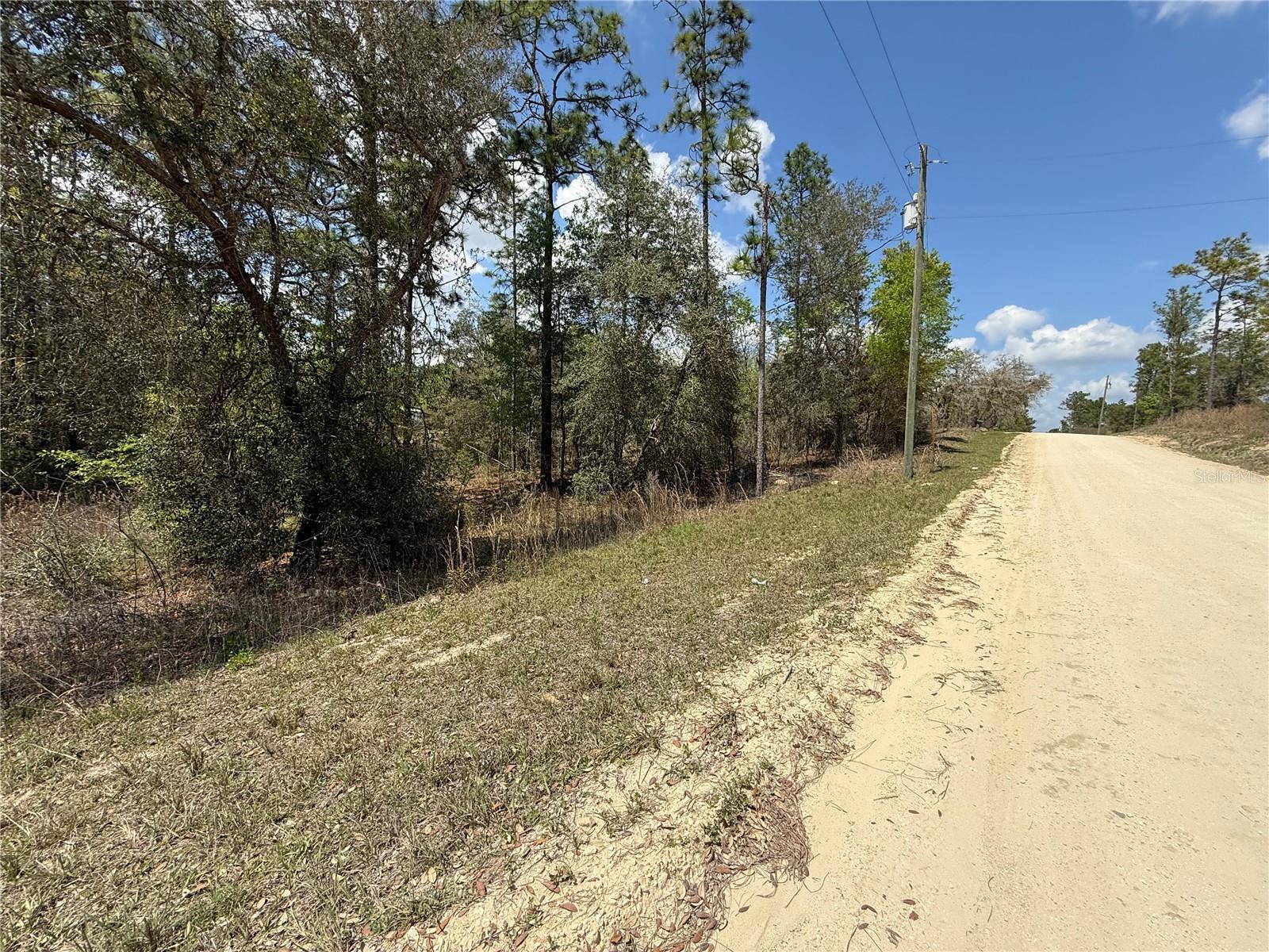 TBD SE 150TH AVE, MORRISTON, FL — photo 3