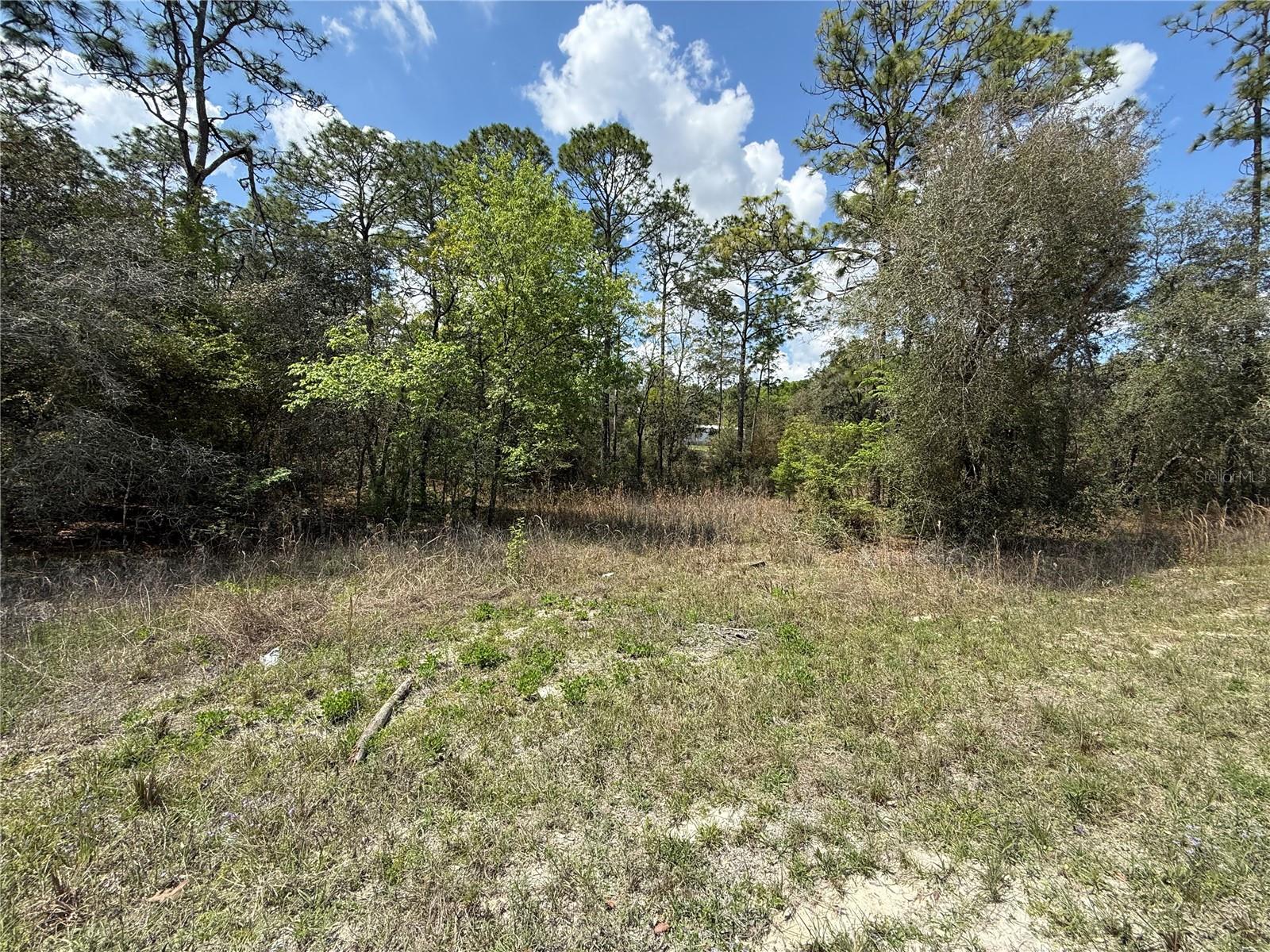 TBD SE 150TH AVE, MORRISTON, FL — photo 4