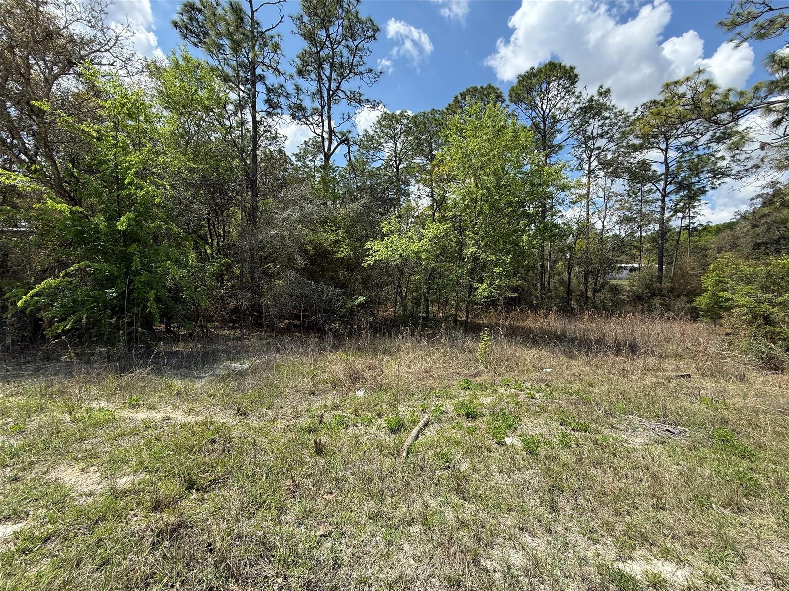 TBD SE 150TH AVE, MORRISTON, FL — photo 5