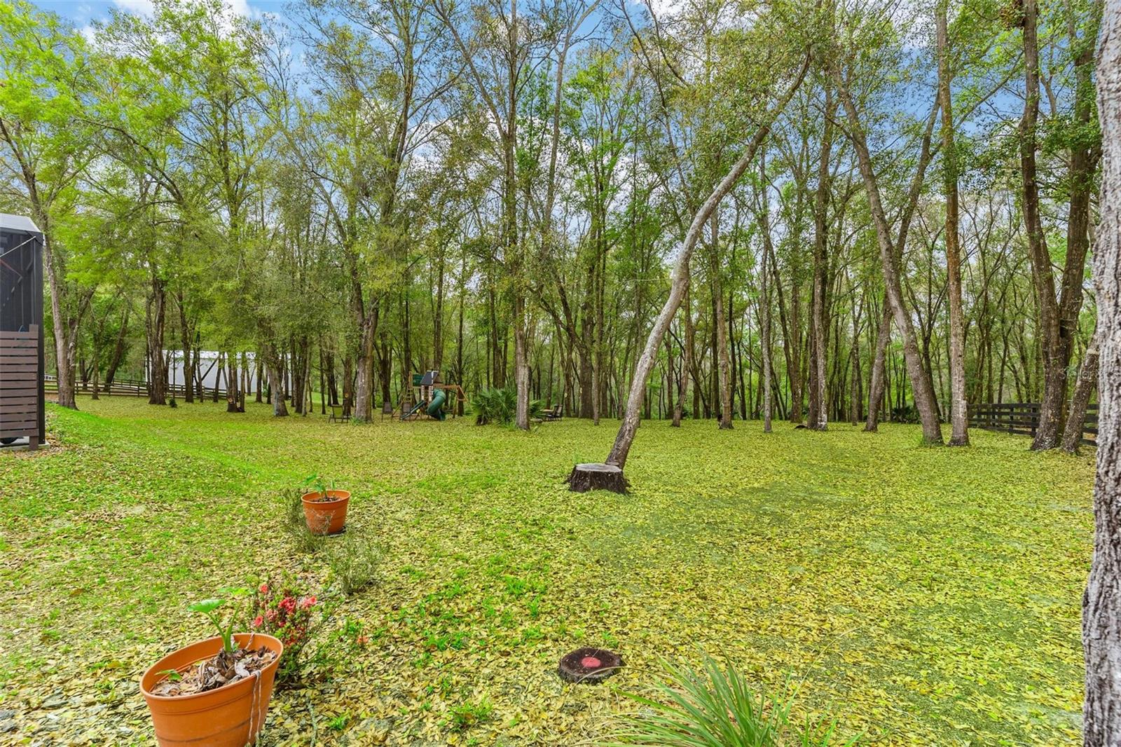 35629 SENECA RESERVE DR, EUSTIS, FL — photo 157