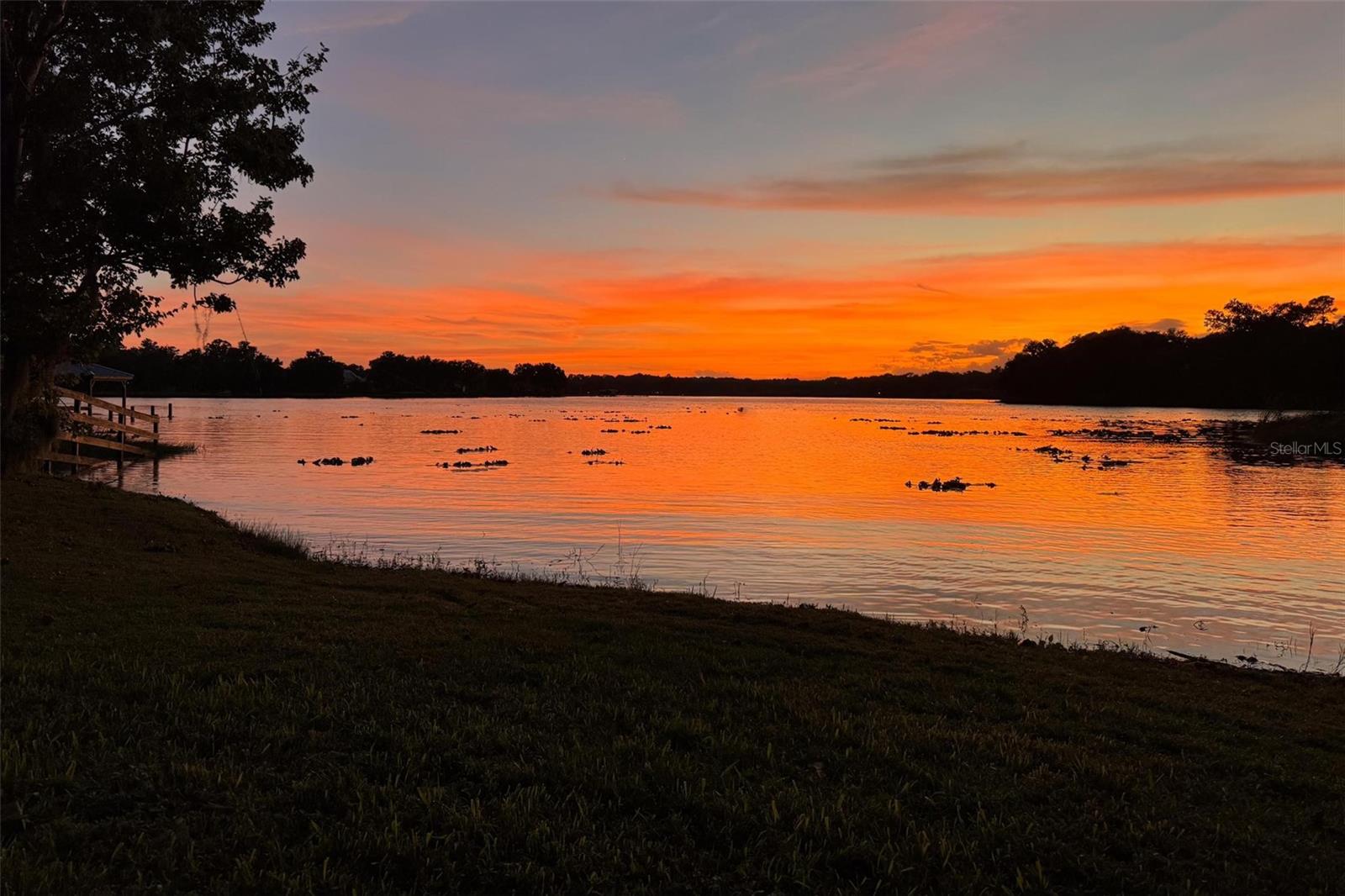 35629 SENECA RESERVE DR, EUSTIS, FL — photo 182