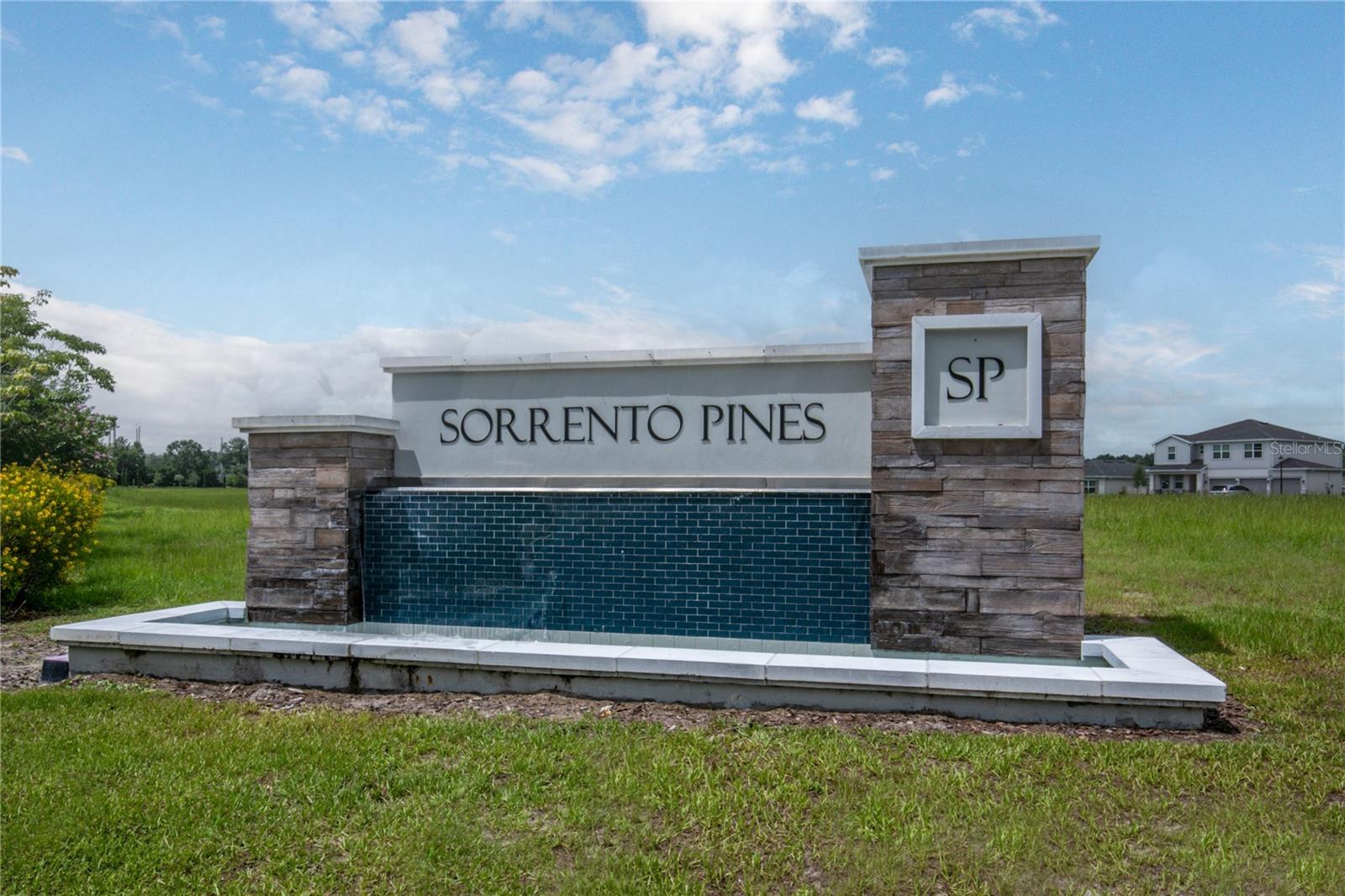 33289 ALWAYS DREAMING CT, SORRENTO, FL — photo 35