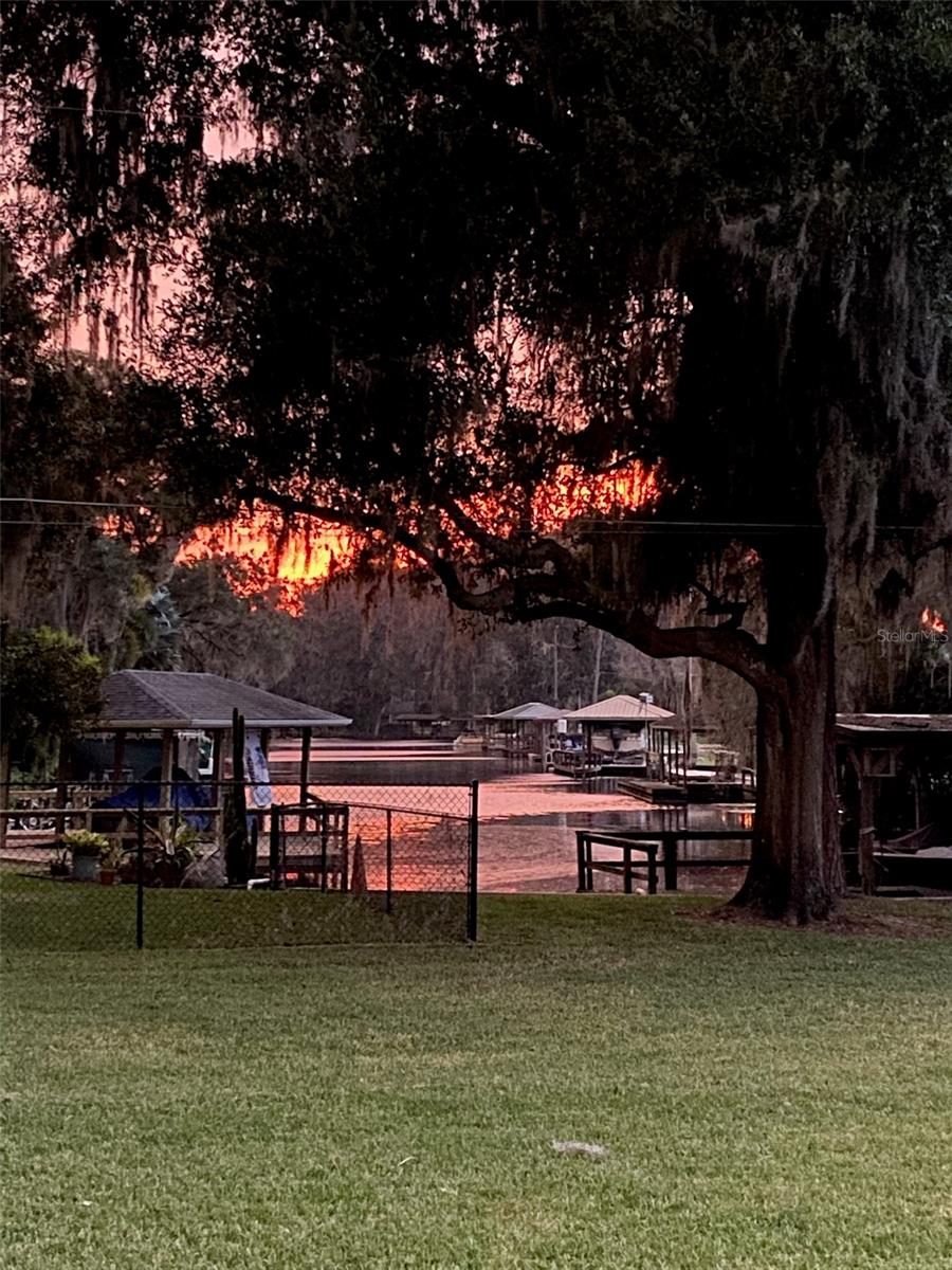 111 CARDINAL LN, EUSTIS, FL — photo 5