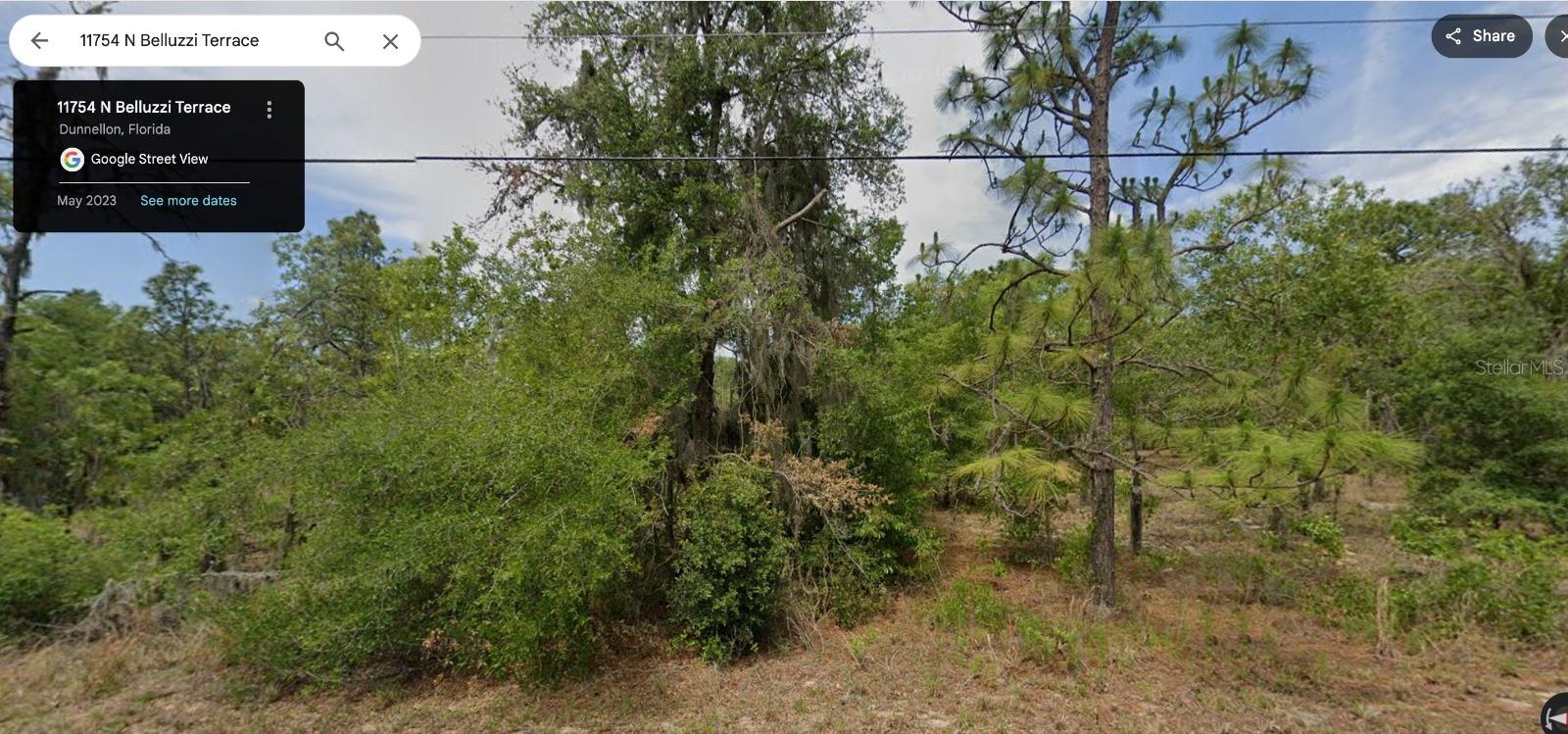 11754 N BELLUZZI TER, DUNNELLON, FL
