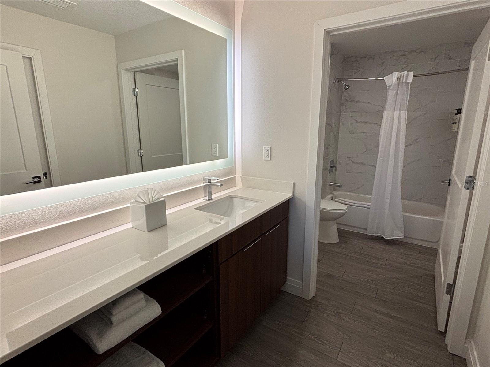 14501 GROVE RESORT AVE #2530, WINTER GARDEN, FL — photo 14