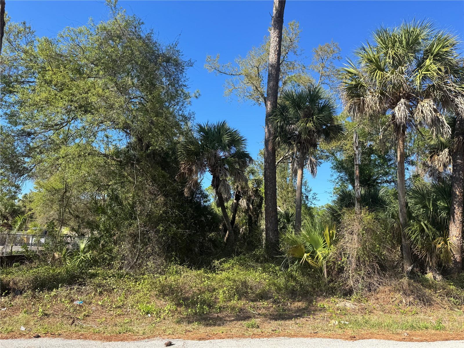 17418 BRIGHTON AVE, PORT CHARLOTTE, FL — photo 3