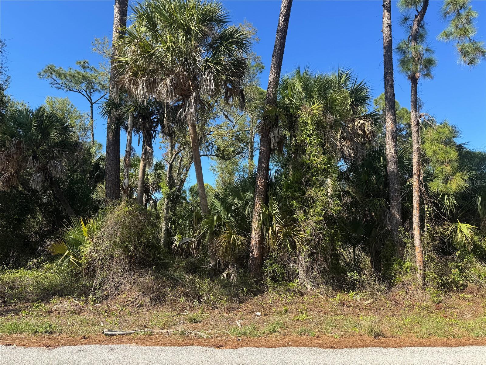 17418 BRIGHTON AVE, PORT CHARLOTTE, FL — photo 7