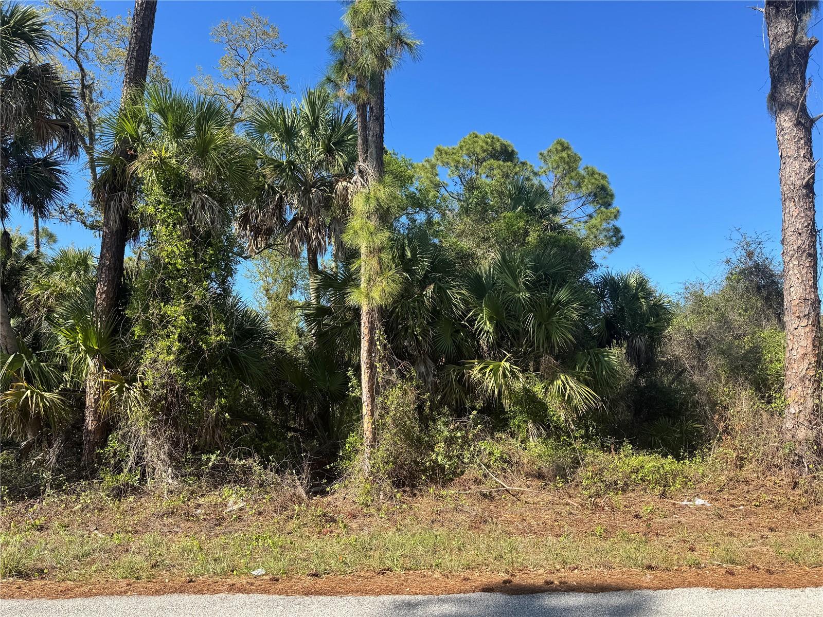 17418 BRIGHTON AVE, PORT CHARLOTTE, FL — photo 8