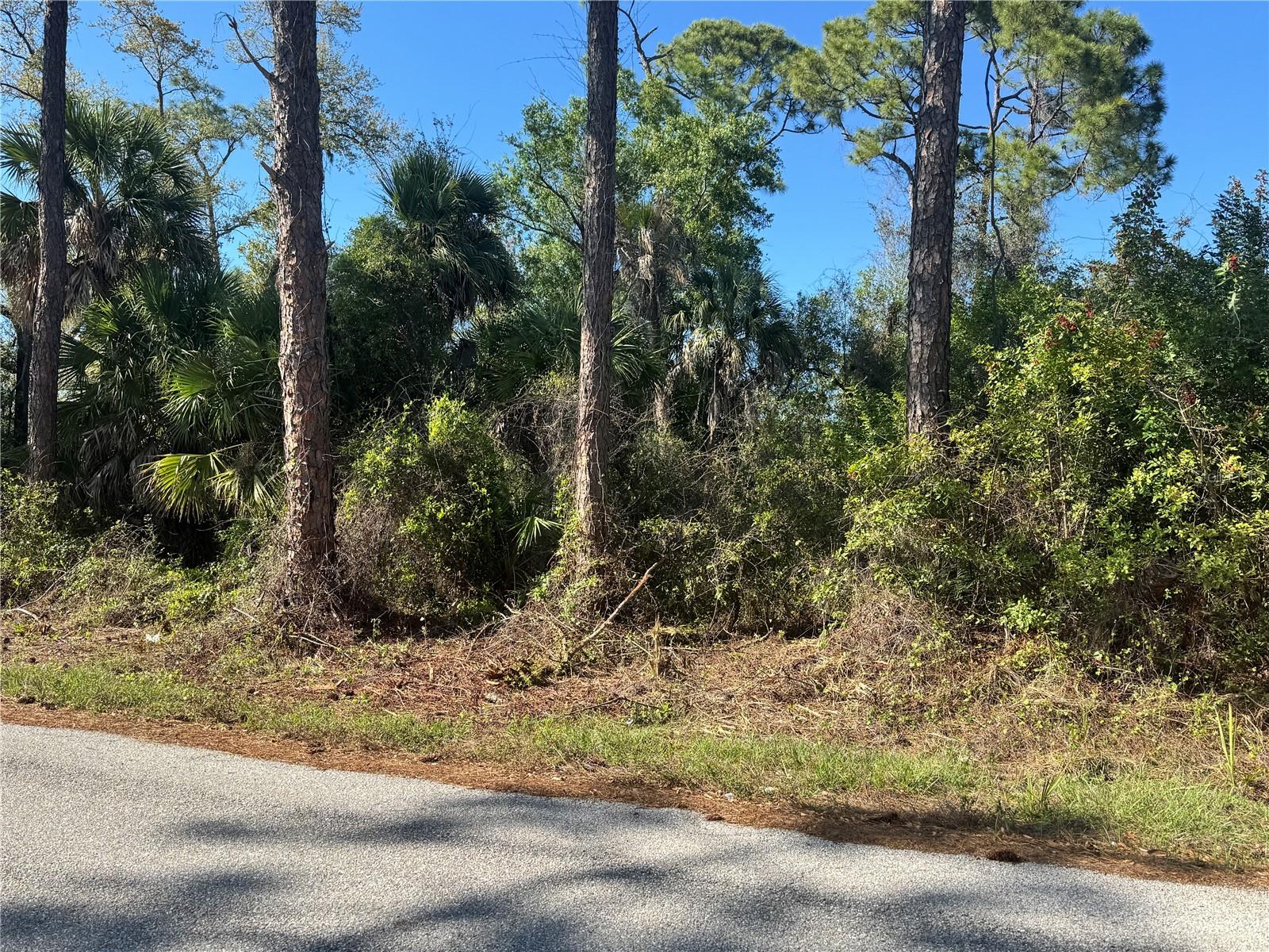 17426 BRIGHTON AVE, PORT CHARLOTTE, FL