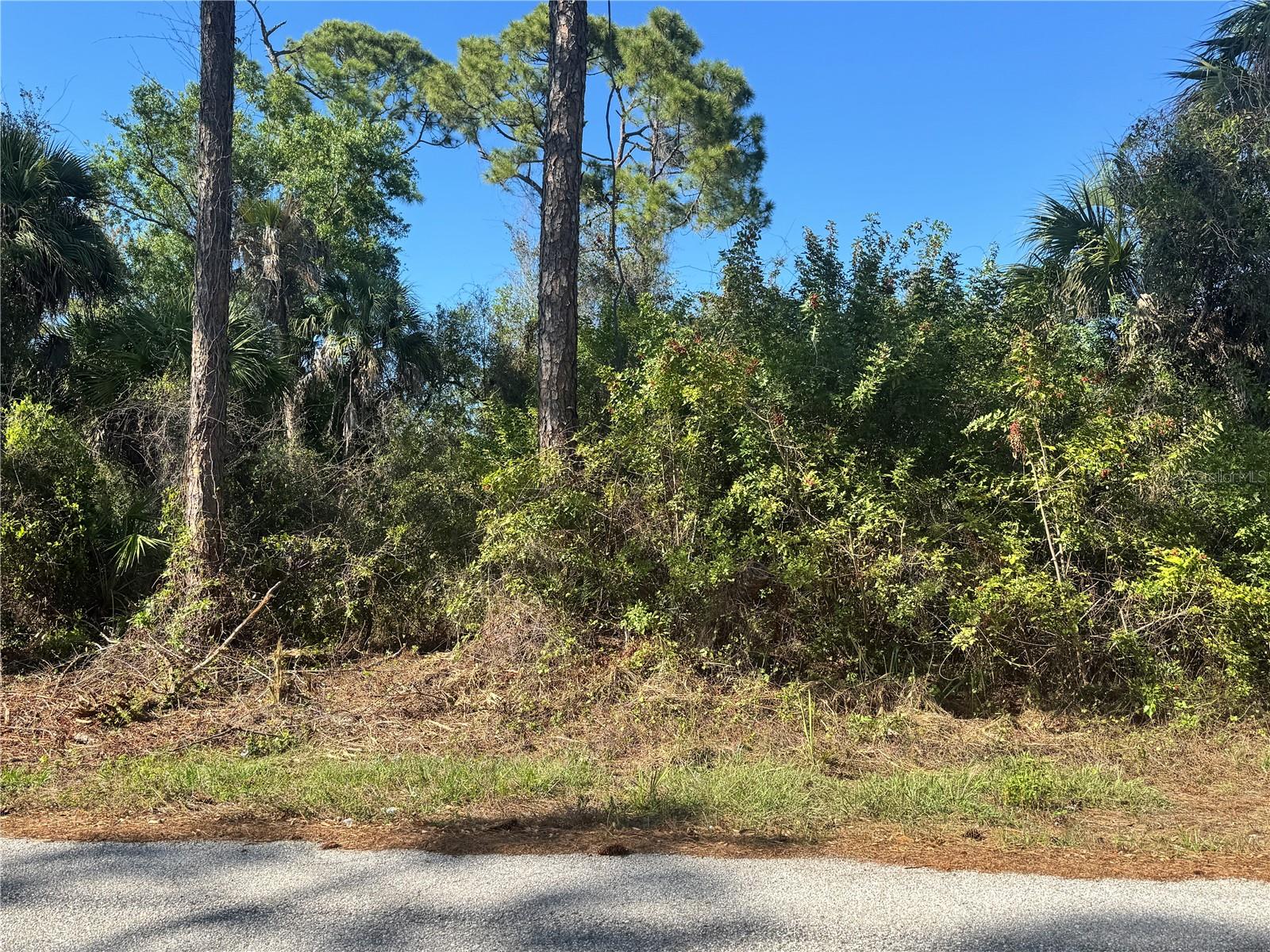 17426 BRIGHTON AVE, PORT CHARLOTTE, FL — photo 2