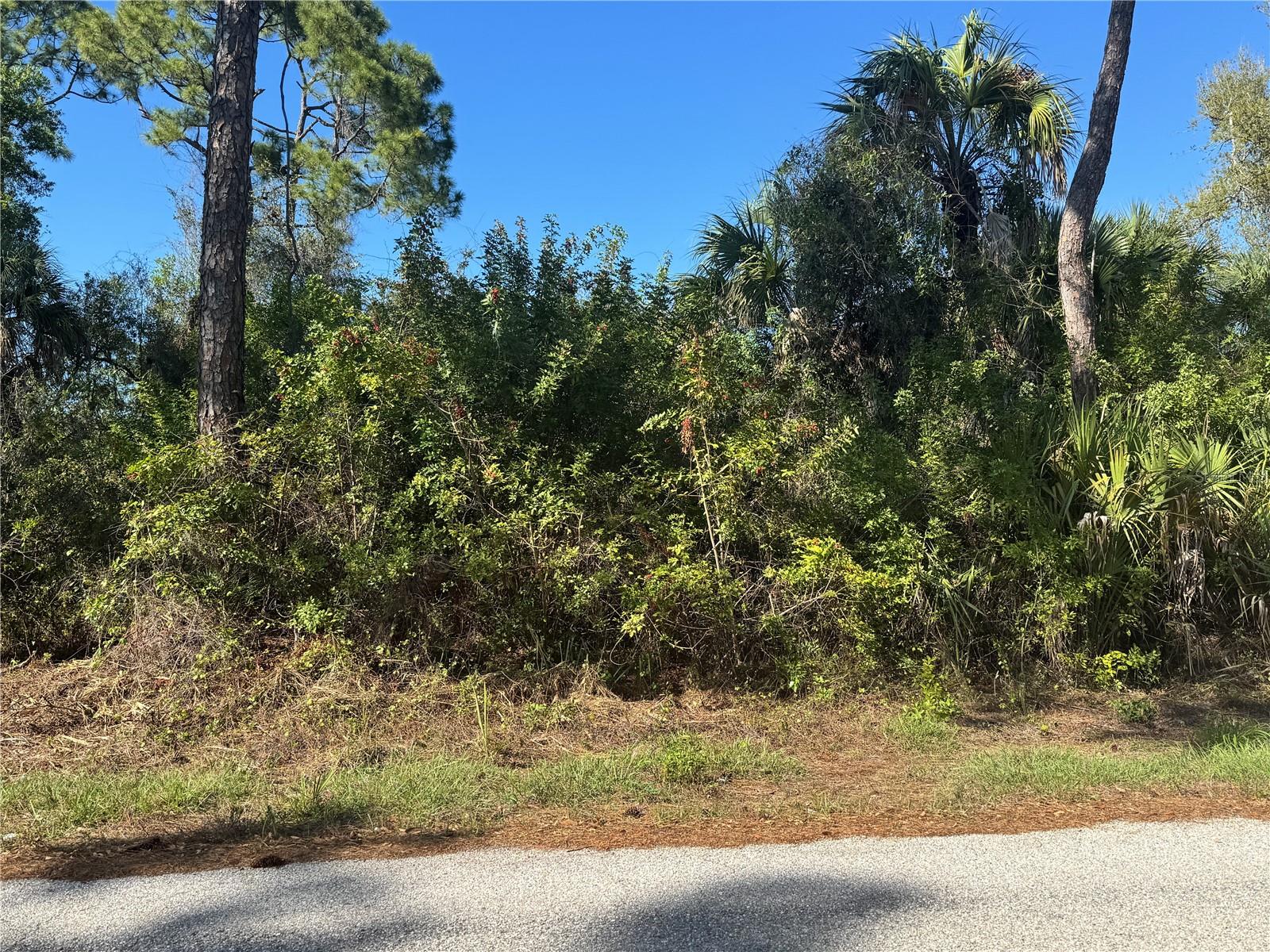 17426 BRIGHTON AVE, PORT CHARLOTTE, FL — photo 6