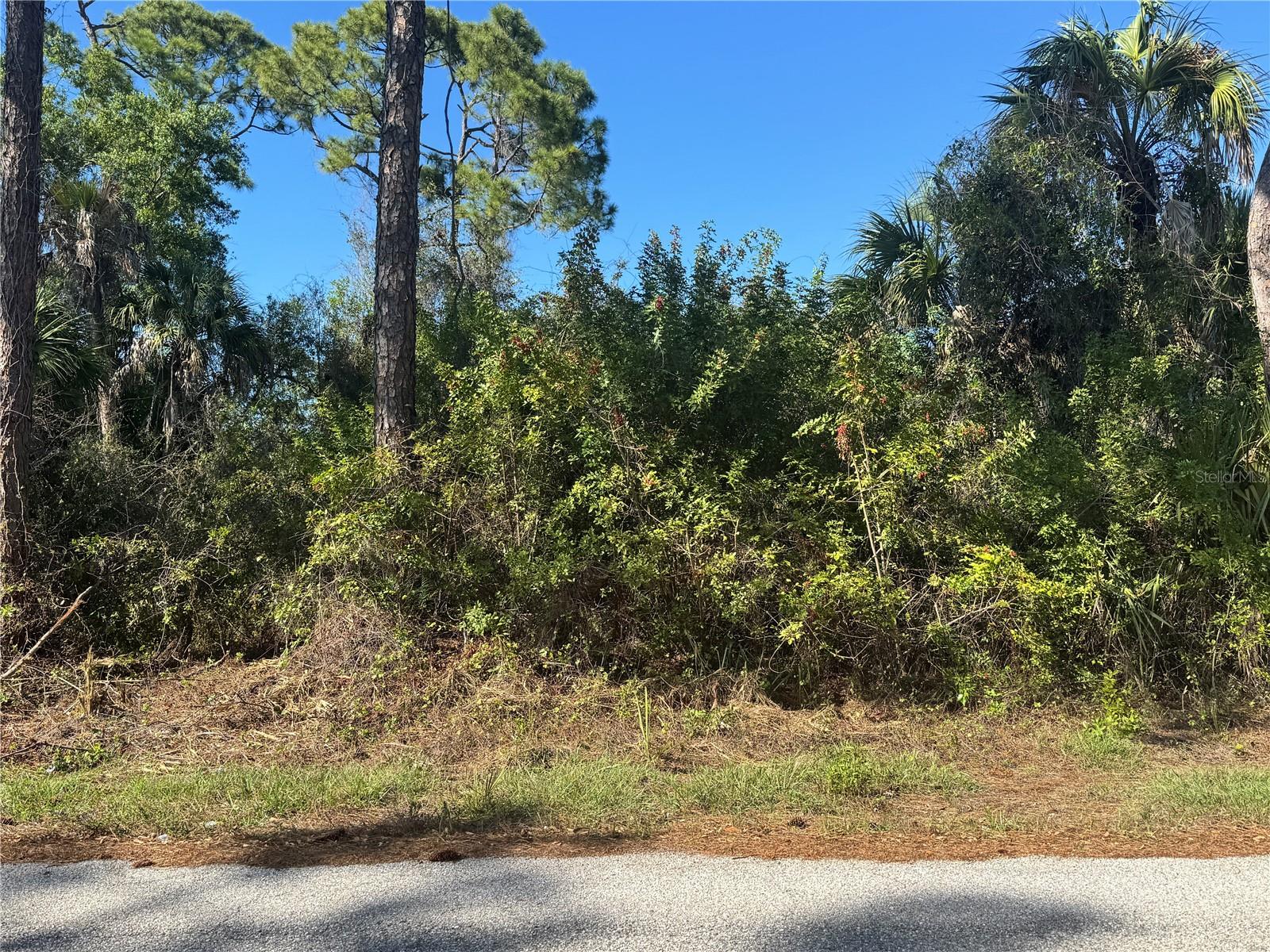 17426 BRIGHTON AVE, PORT CHARLOTTE, FL — photo 7