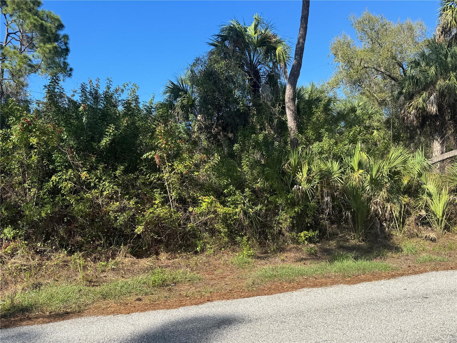 17426 BRIGHTON AVE, PORT CHARLOTTE, FL — photo 8