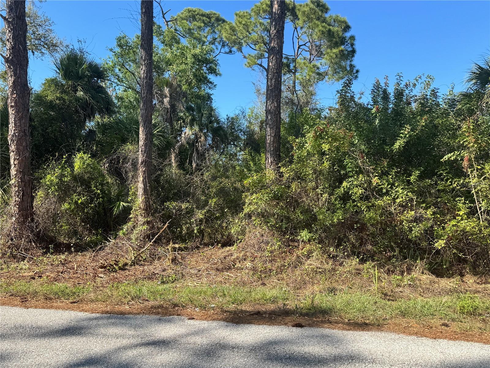 17426 BRIGHTON AVE, PORT CHARLOTTE, FL — photo 9