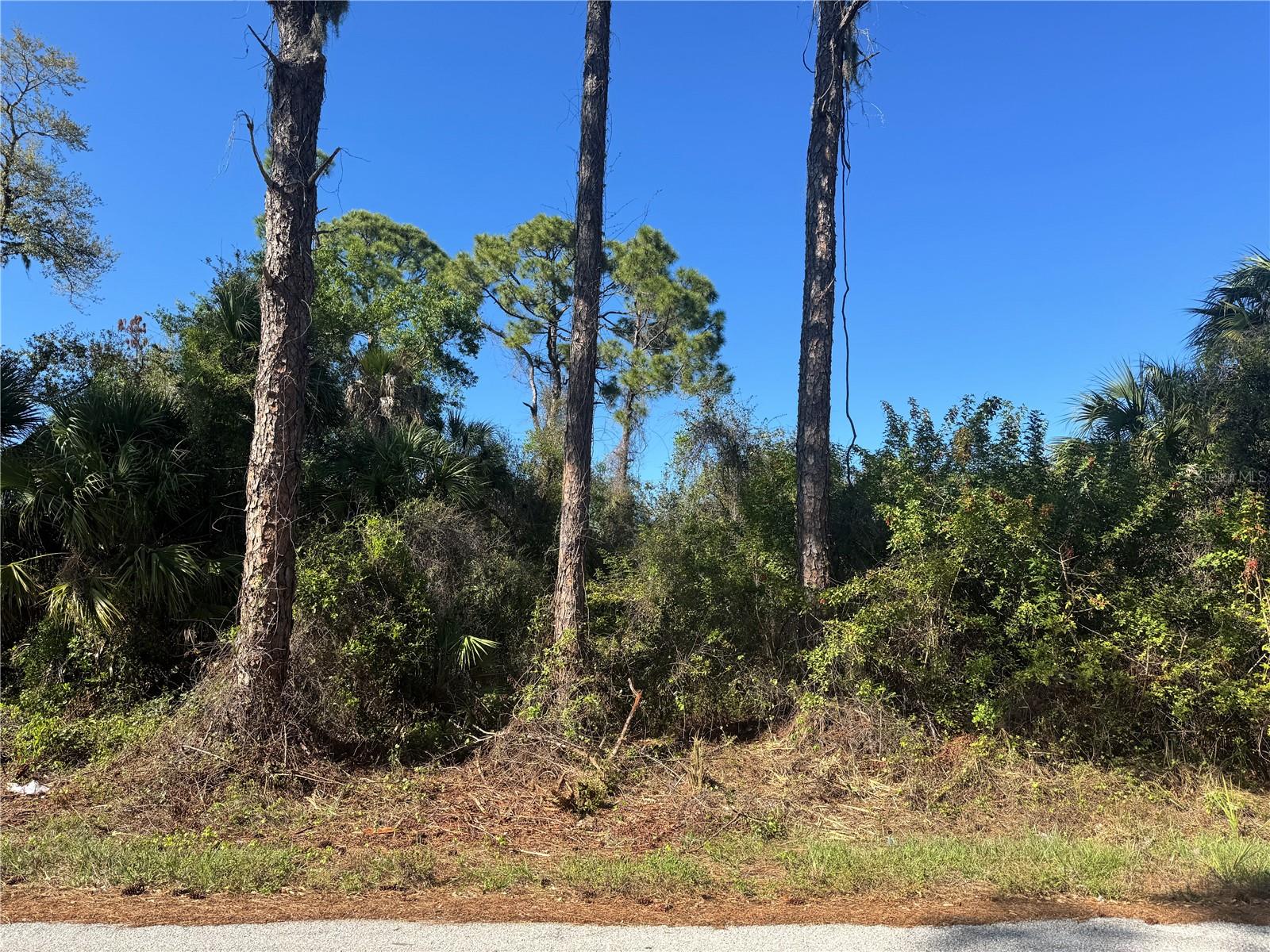 17426 BRIGHTON AVE, PORT CHARLOTTE, FL — photo 11