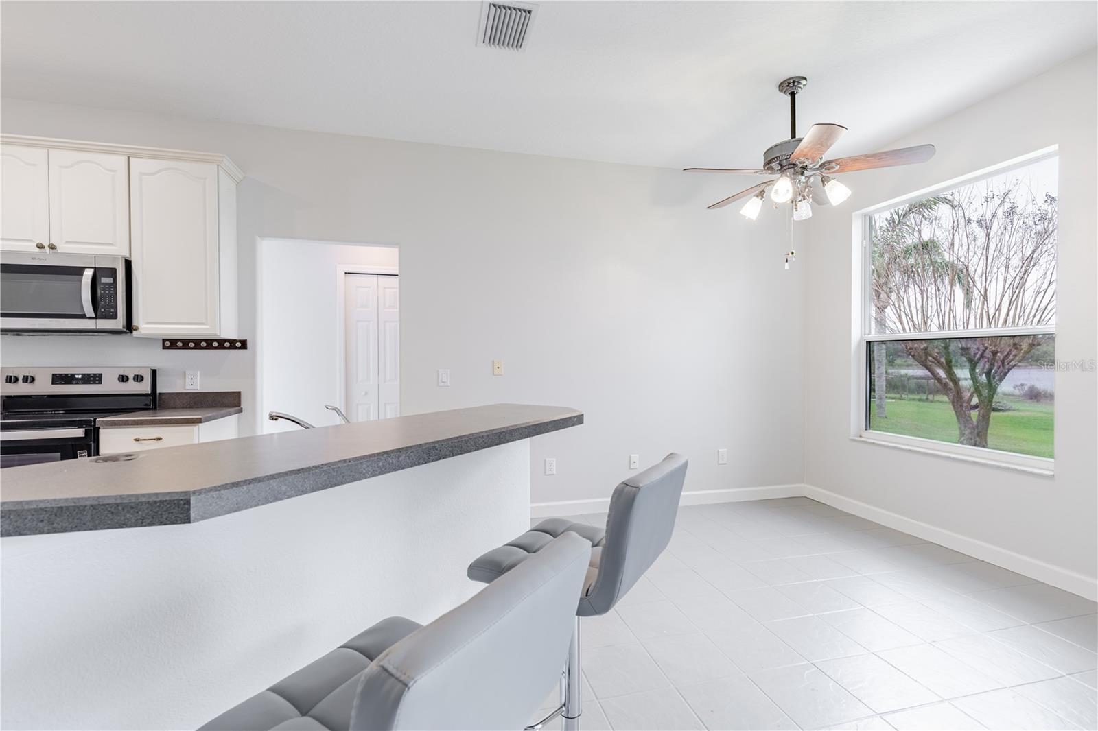 3804 BAYSHORE CIR, TAVARES, FL — photo 42