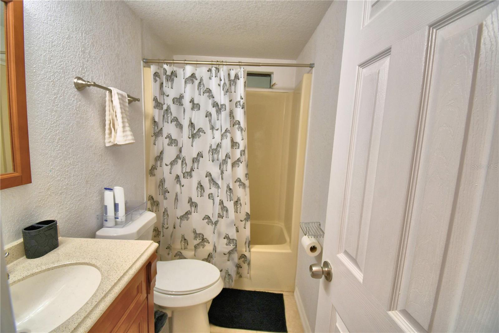 2737 CRANMOOR DR, KISSIMMEE, FL — photo 62