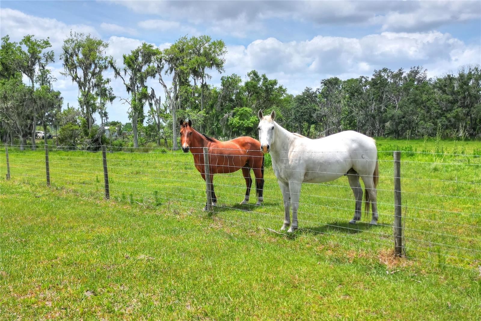 0 S CR 39, LITHIA, FL