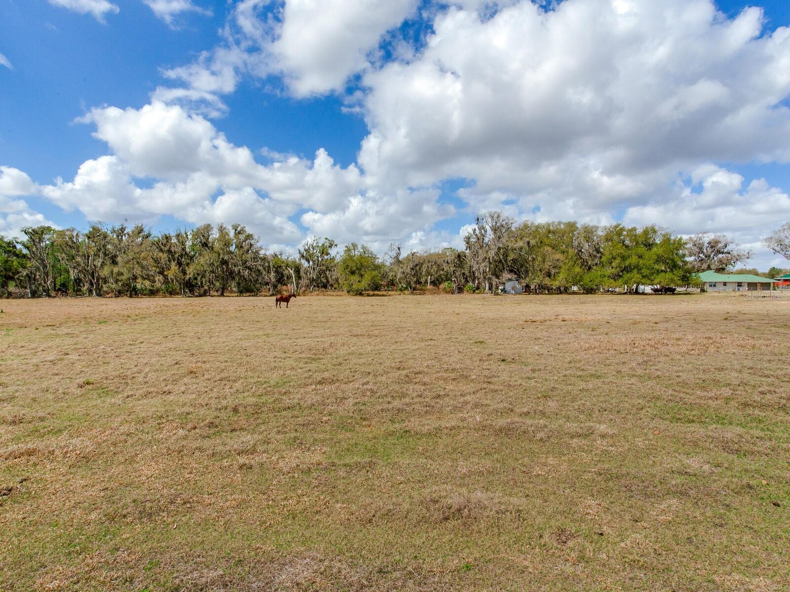 0 S CR 39, LITHIA, FL — photo 2