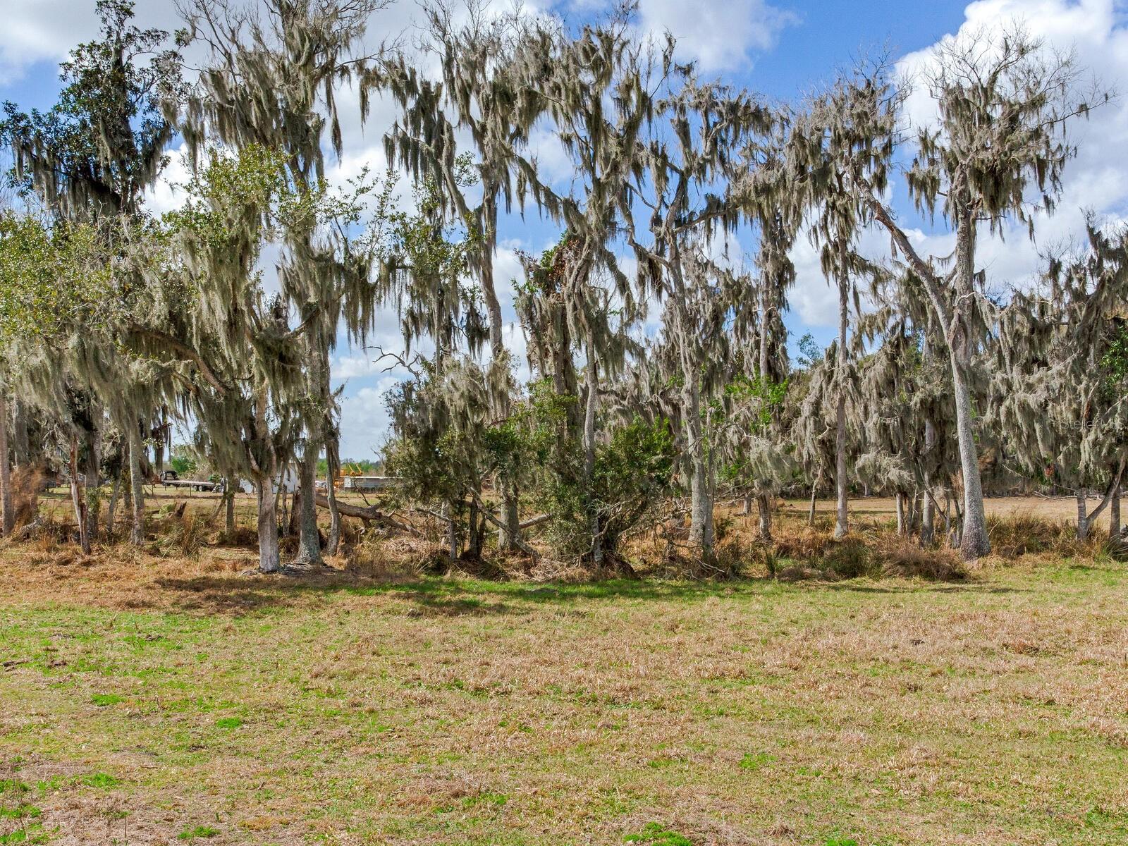 0 S CR 39, LITHIA, FL — photo 3